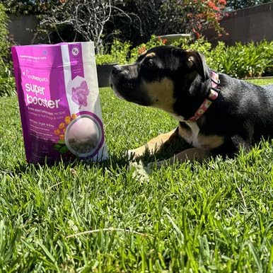 Smallbatch Freeze Dried Dog Treats, Superfood Food Topper Turkey Bites for Dogs & Cats, Probiotics, Organic Ingredients, High Protein, Grain Free Healthy Treat & Food Topper, Made in the USA, 7 oz Bag