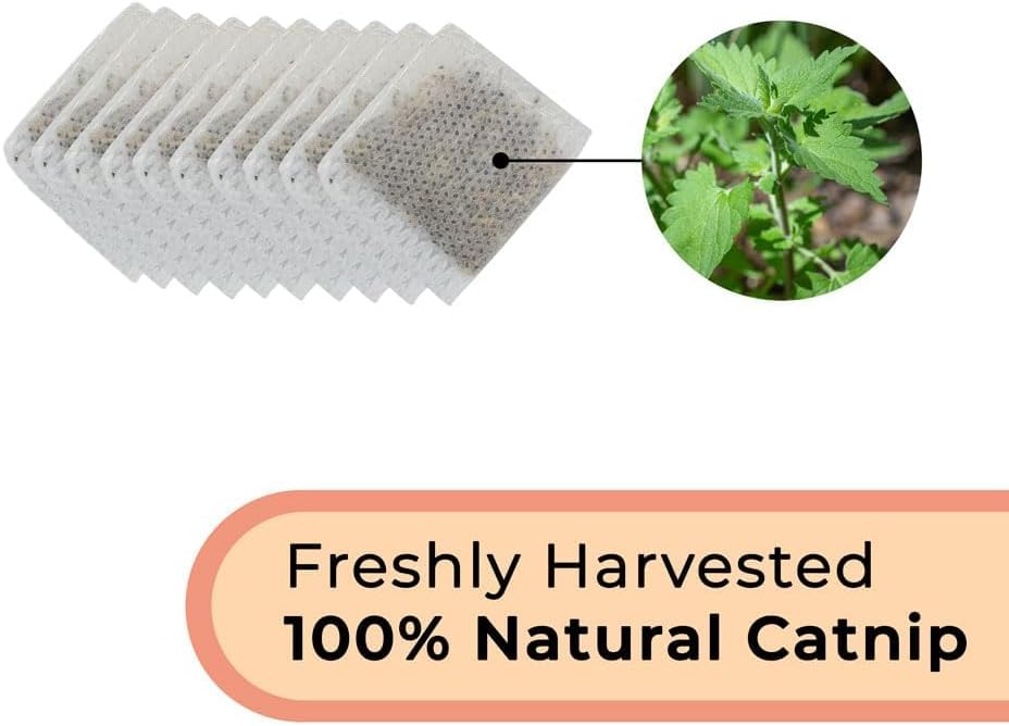 Interactive Catnip Bird Toy Set (10-Pack Replacement Catnip Pouches)