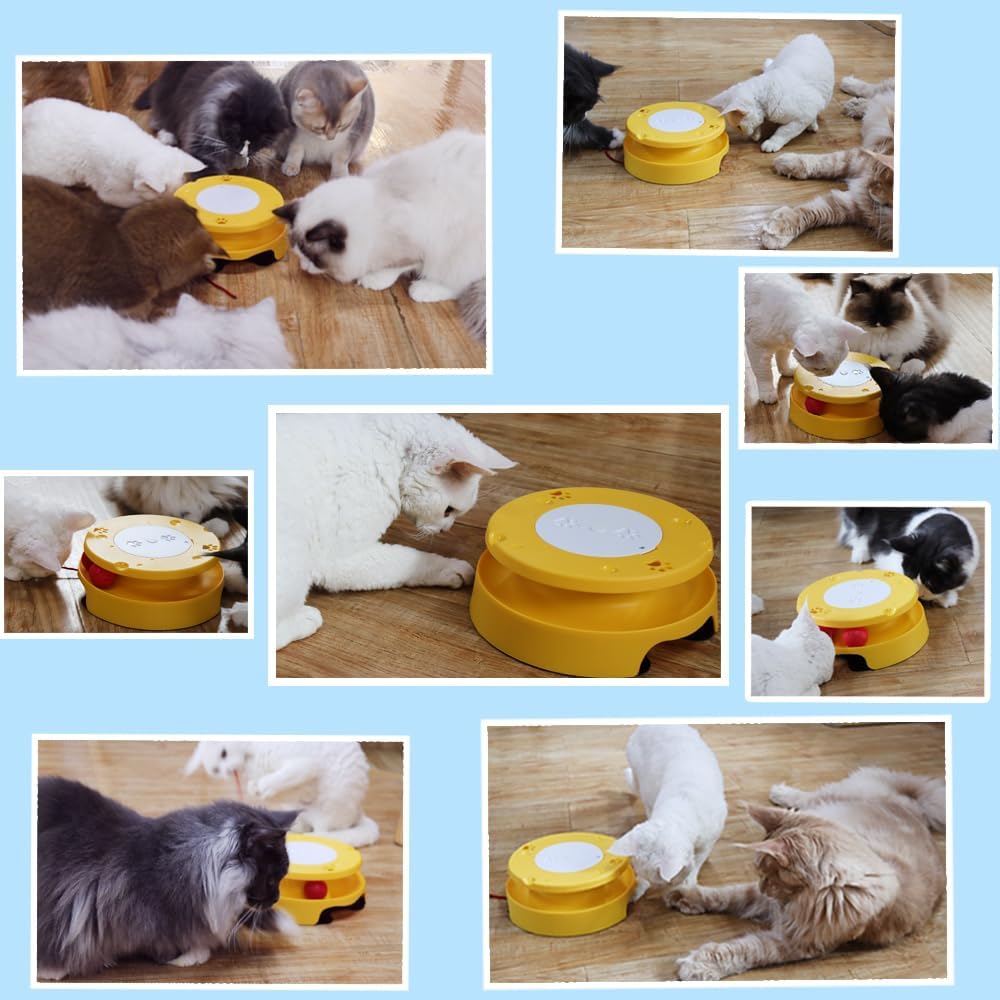 LASOCUHOO 2-in-1 Automatic Cat Toy with Track & Jumping String – Interactive Electric Toy with Rolling Balls & Bell, Battery-Powered (3 AA), Auto Shut-Off for Multi-Cat Play