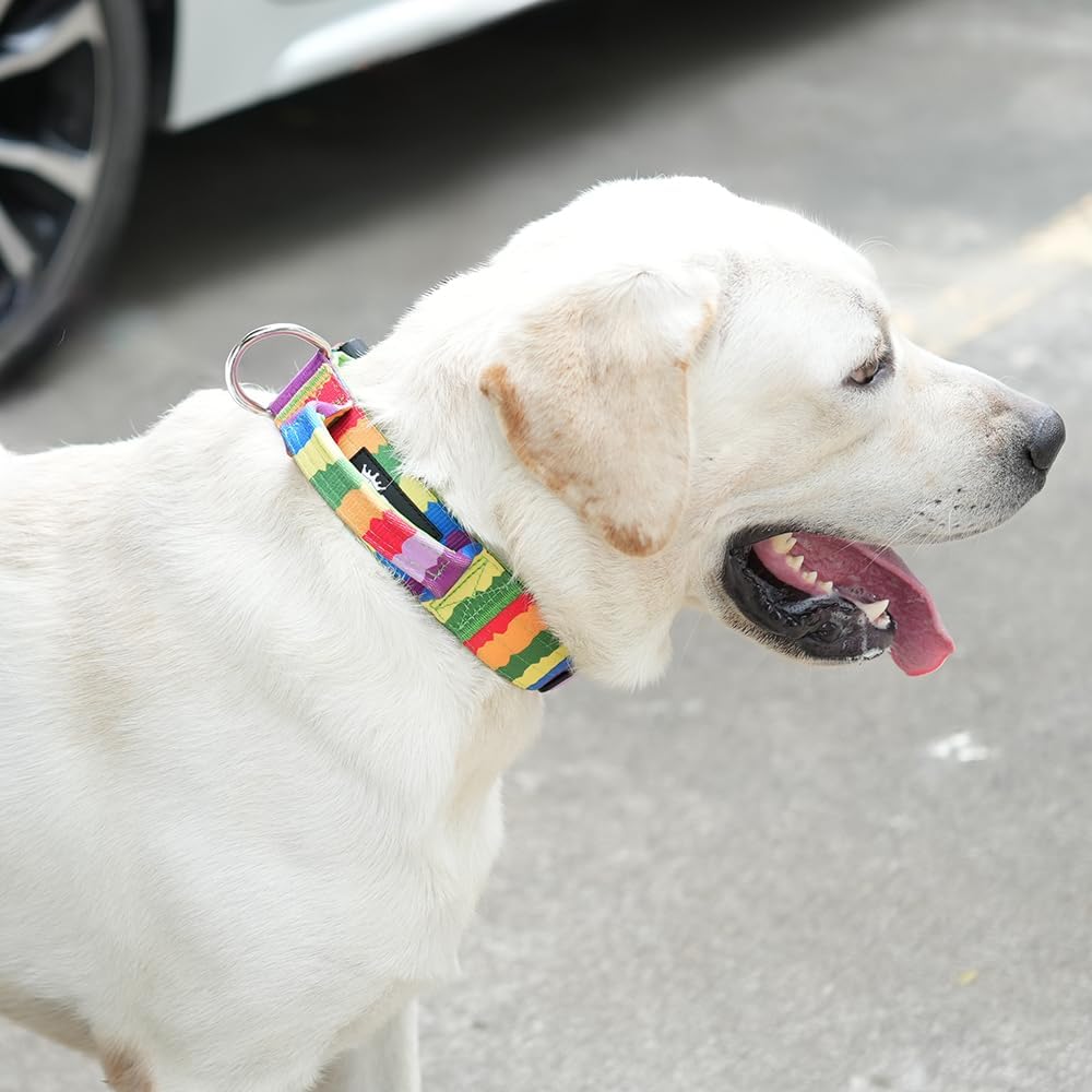 TSPRO Premium Dog Collars Tactical Dog Collar with Handle and Heavy Duty Quick-Release Metal Buckle Durable Thick and Adjustable for Medium to Large Dogs (Cyan Gradient M)