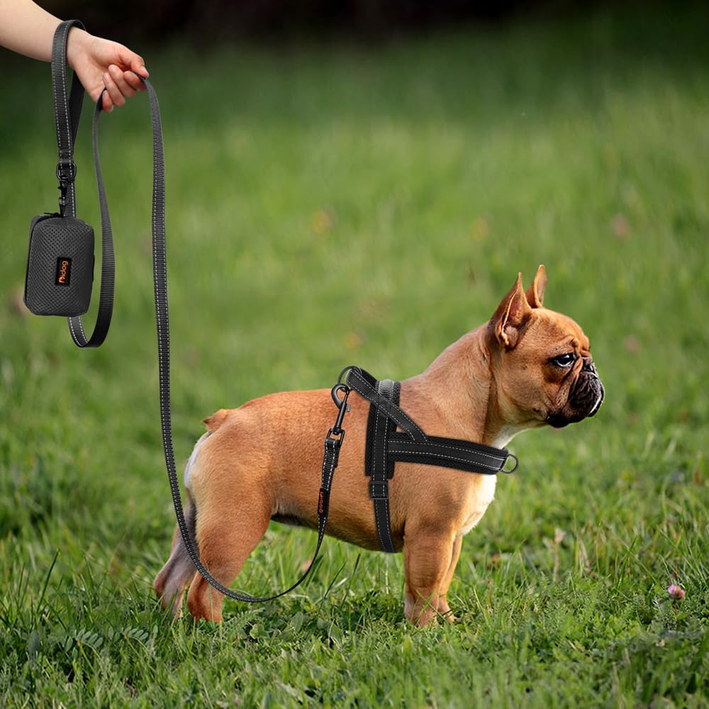 Didog No Pull Dog Harness with Soft Mesh Padded,Reflective & Quick Fit Light Weight Dog Strap Vest Harness,Easy for Walking Training (M:Chest 21-26", Mesh-Black)