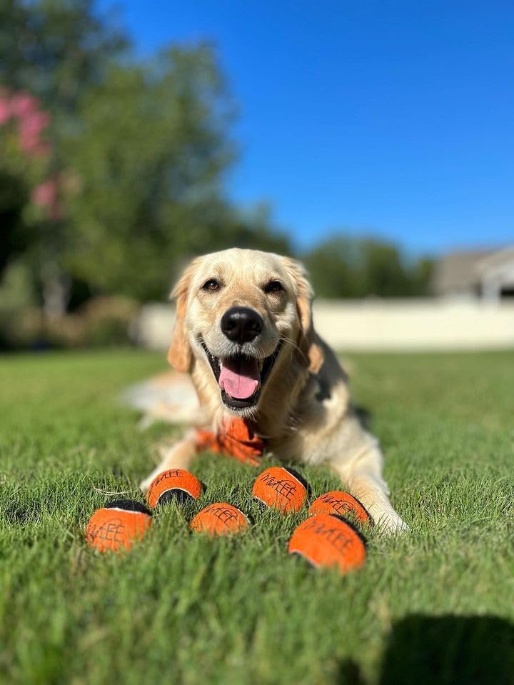 Midlee Orange/Black Dog Halloween Tennis Balls- Set of 6