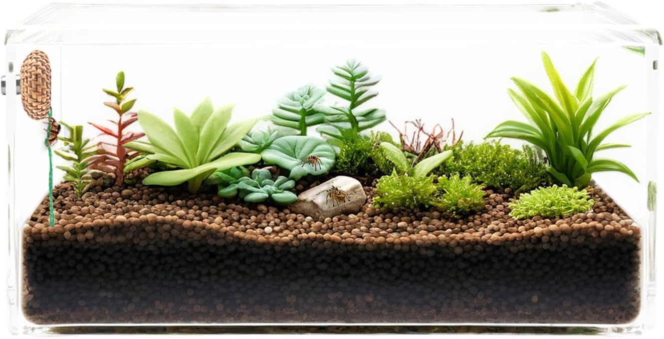 1 Pcs Jumping Spider Accessories,Shelter Made of Cane, Essential for Jumping Spider Hide, Enclosure, and Tarantula Enclosure Accessories