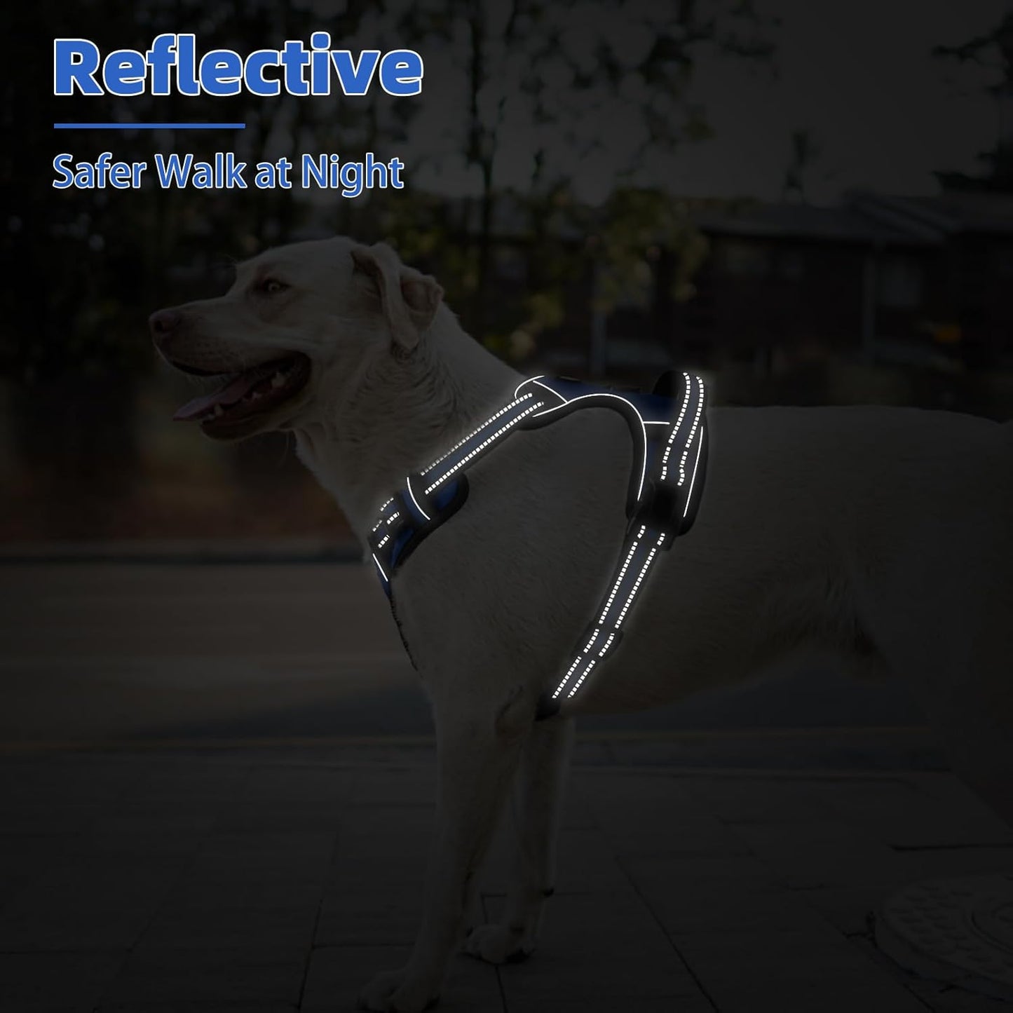 PUPTECK No Pull Dog Harness for Large, Adjustable Reflective Dog Harness with Handle Easy Control, Comfortable Soft Padded Pet Vest Harness for Large Dogs, Blue L