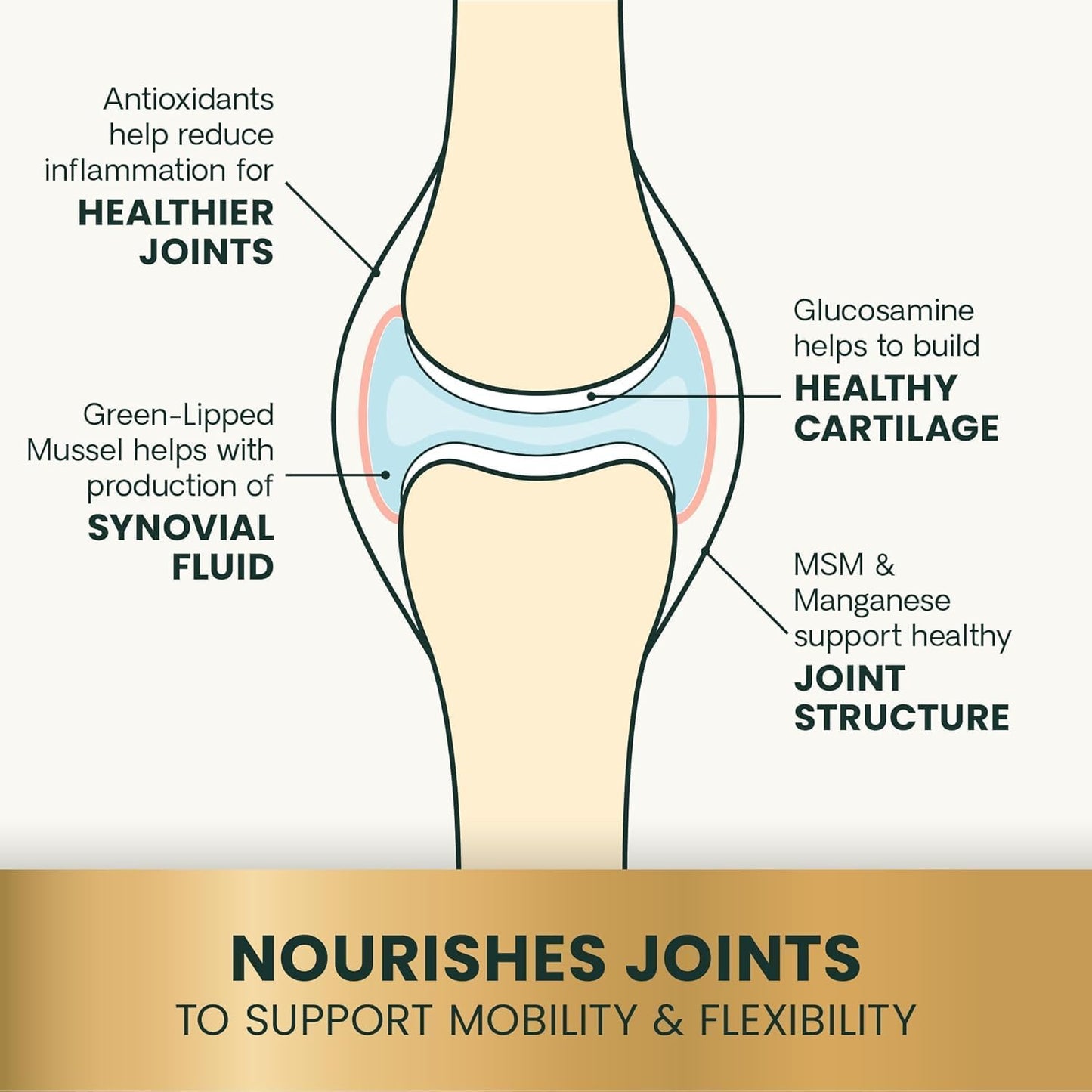 VetriScience GlycoFlex Ultimate Strength Healthy Hip & Joint Glucosamine Supplements for Dogs, with MSM, Chondroitin & Green-Lipped Mussel, Soft Chews, Bacon, 120 Count - New Look