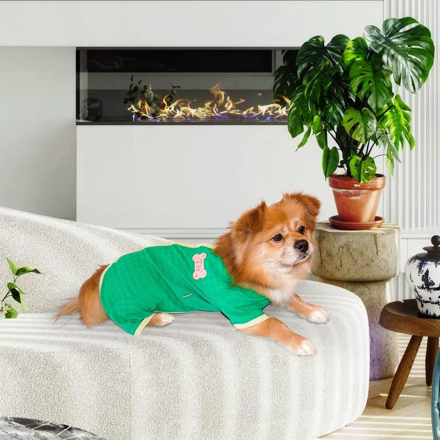 TONY HOBY Dog Pajamas, Dog Recovery Suit After Surgery, Soft Dogs Dogs Jumpsuit Shirts for Small Medium Dogs (Green, Boy, S)