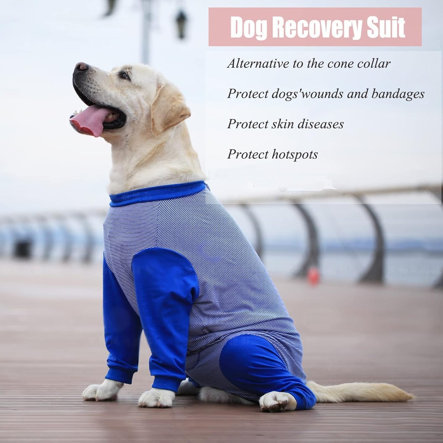 Yeapeeto Dog Onesie Surgery Recovery Suit for Large Medium Bodysuit Dogs Pajamas PJS Full Body for Shedding, Prevent Licking, Wound Protection, Cone Alternative (5XL, Blue)