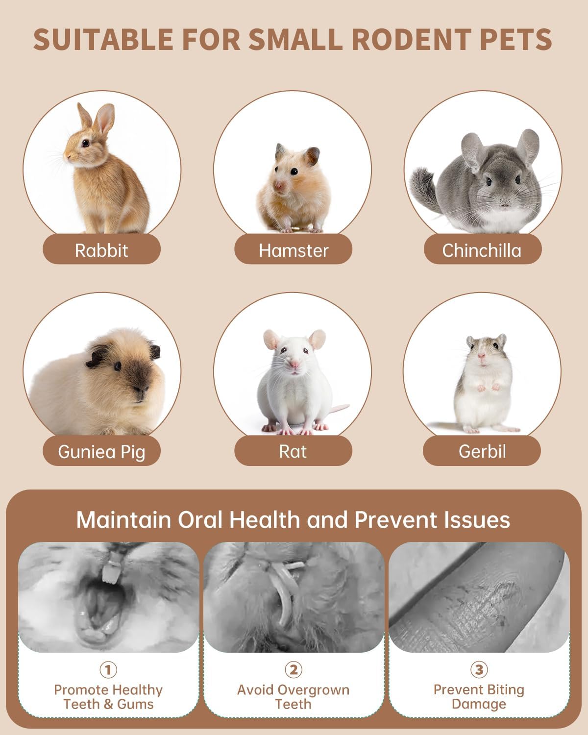 31PCS Rabbit Chew Treat Toys for Teeth Health, Natural Bunny Enrichment Toys for Boredom & Stress Relief, Keep Busy Toys for Guinea Pig Chinchilla Hamster Rat Gerbil Degu Indoor Outdoor