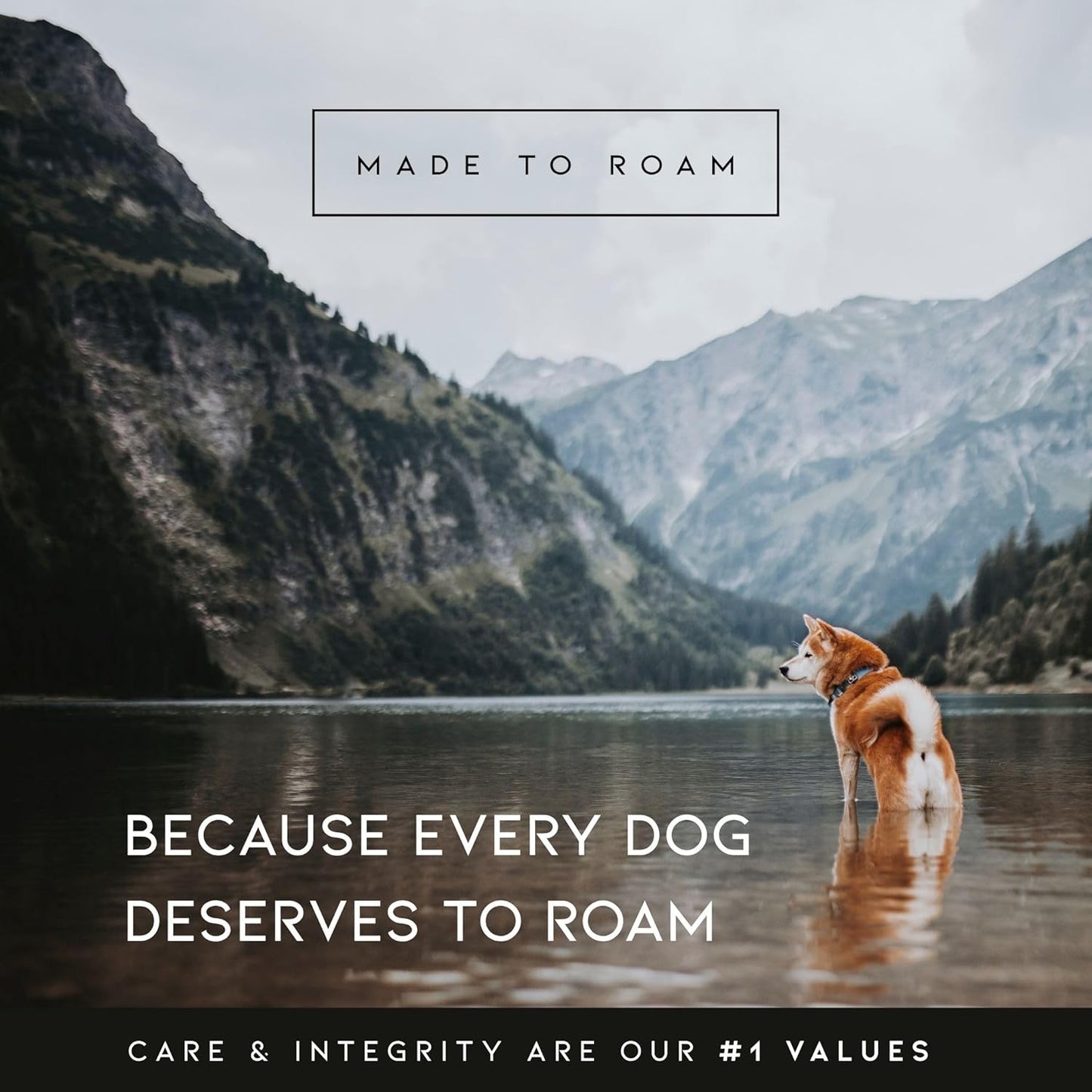 MADE TO ROAM Premium Explorer Harness - Y-Shaped Dog Harness with Adjustable Durable Nylon, Soft Padding, Metal Buckles and Leather Handle for Small, Medium, Large Dogs (Arizona Heartbeat, Size 3)