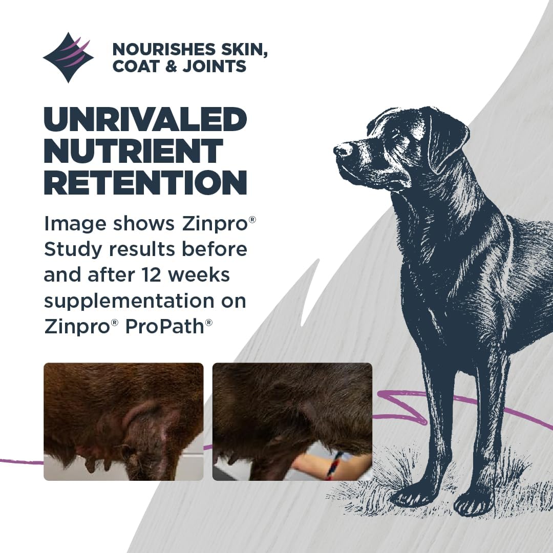 Blackwood Sensitive Skin & Stomach Dry Dog Food, Salmon Meal & Brown Rice with Ancient Grains, 24 Pound Bag with Prebiotics & Probiotics to Promote Gut Health