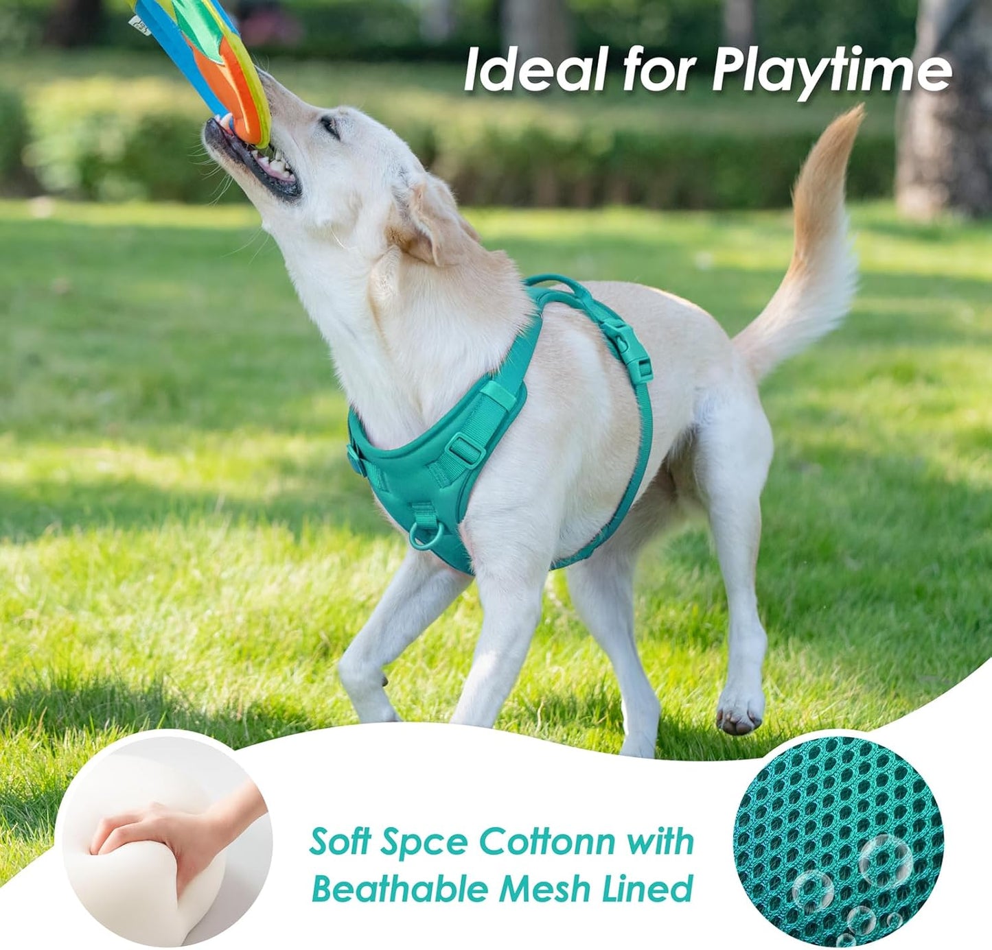 No Pull Dog Harness, Puppy Vest with Front Clip for Small Medium Large Sized Dog(MARRS Green,XL)