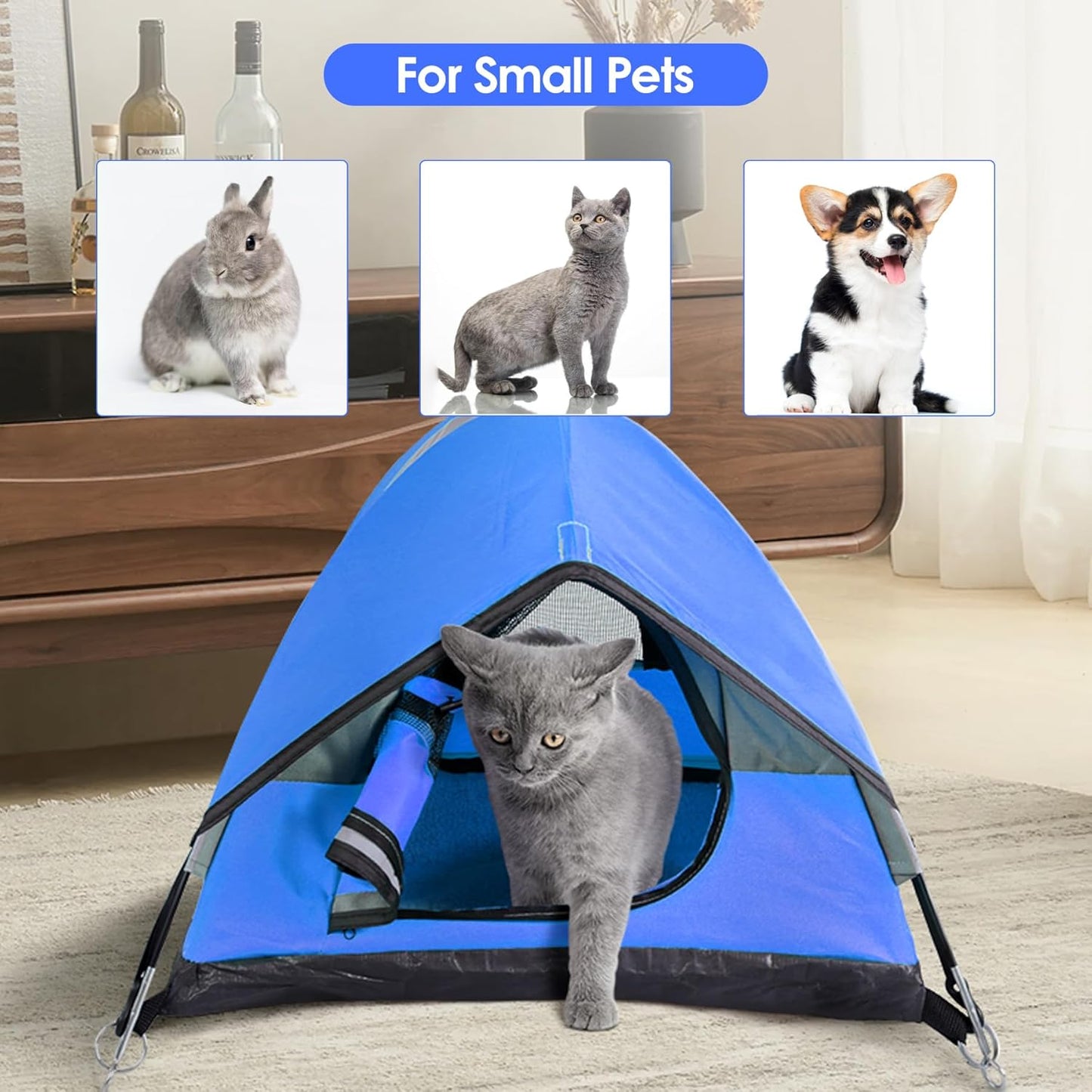 Cat Camping Tent, Cat Tent Bed, Pet Tent for Indoor Cat and Small Dog, Mini Tent (Blue, 21 x 21 x 14 Inches)