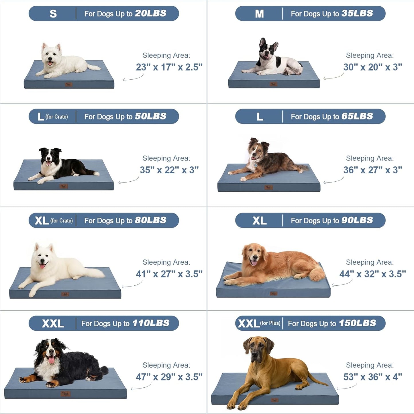 Medium Dog Bed for Medium/Small Dogs, Orthopedic Dog Beds with Removable Washable Waterproof Cover, Egg Crate Foam Pet Bed Mat, Blue