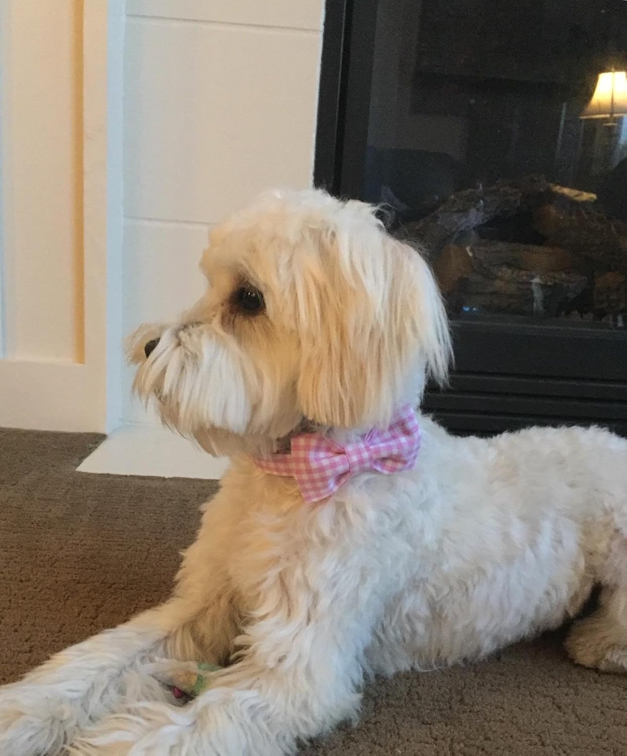 Lionet Paws Dog Collar with Bowtie, Comfortable Adjustable Cute Pink Gingham Bow Tie Collar for Female Puppies and Cats Gift, XS, Neck 8-12 inches