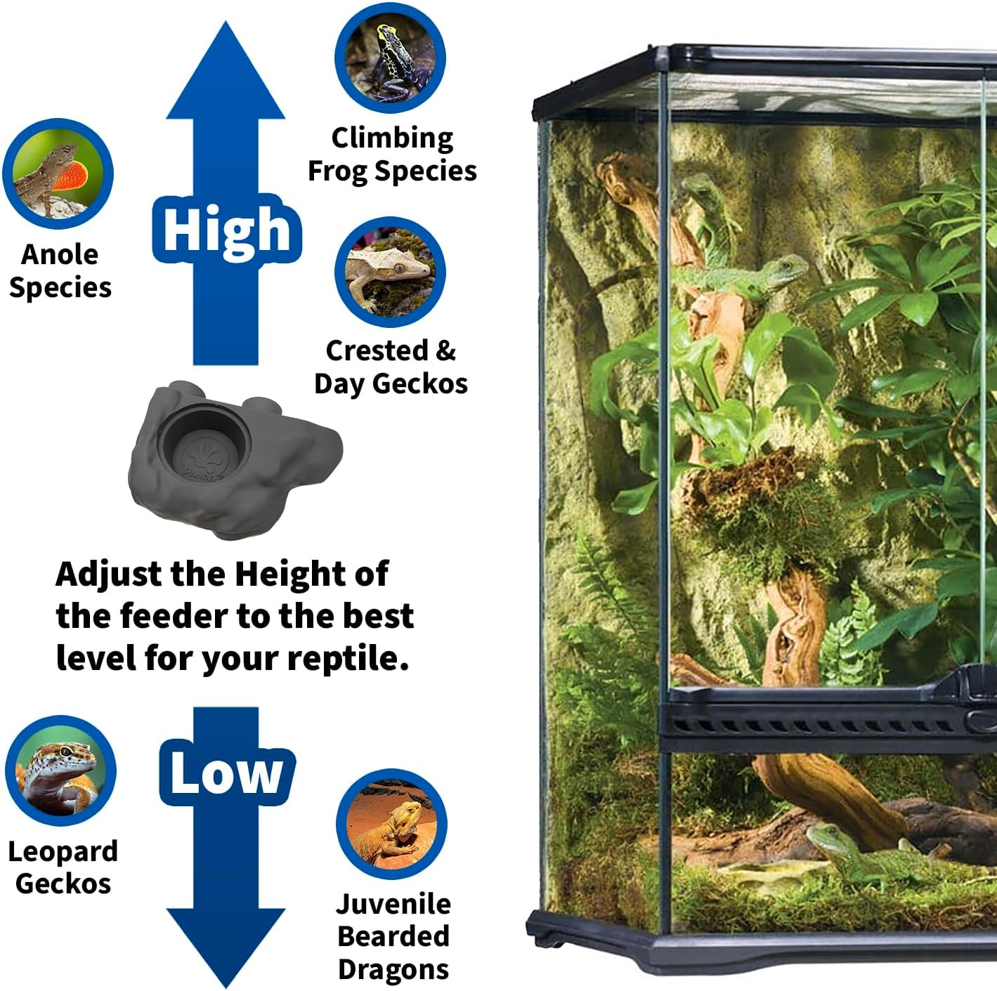 Pangea Silicone Gecko Feeding Ledge - Magnetic Mini Food Dish for Reptile Tank - 4.125" x 2.625" x 1.18" - Fits 0.5oz Cups (Black)