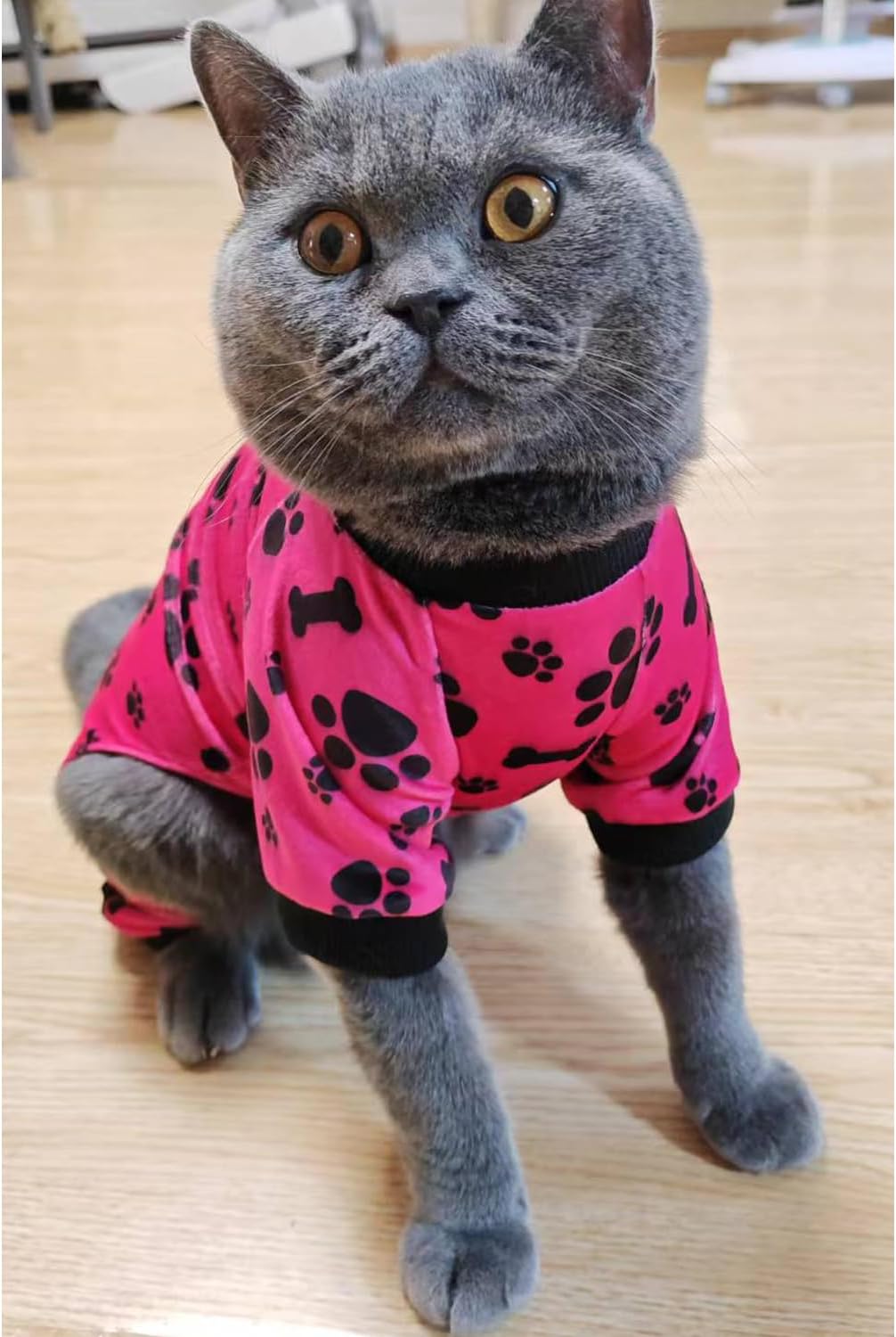 PET SHOW 4 Pack Small Dog Pajamas Paw Bone Patterns Cute Clothes for Medium Dogs Soft Fleece Stretchy PJs 4 Legged Jumpsuit Puppy Cats Onesies Outfits with Sleeve Dachshund Doggies Girl Boy (Medium)