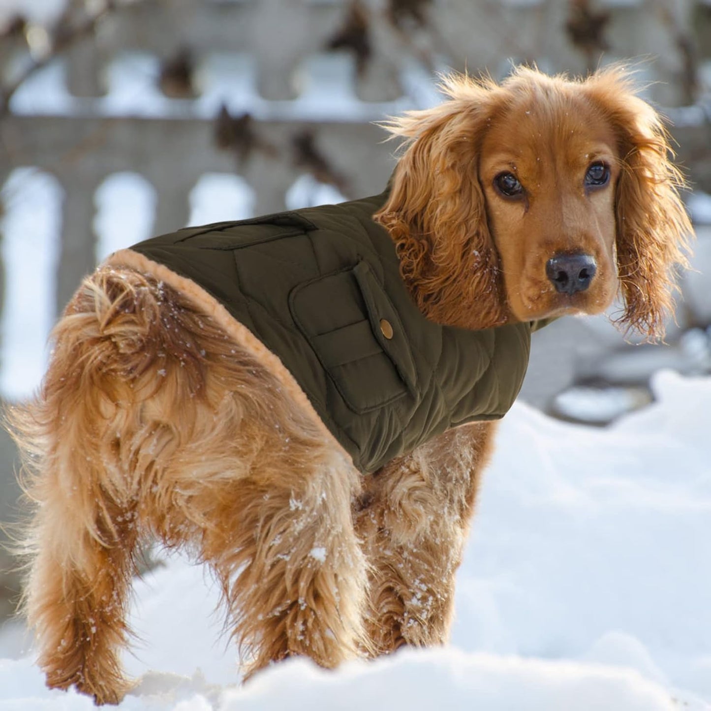 Queenmore Warm Dog Coat, Cold Weather Puffer Dog Jacket with Ultra Thick Plush Lining, Storage Pockets (Green, Large)