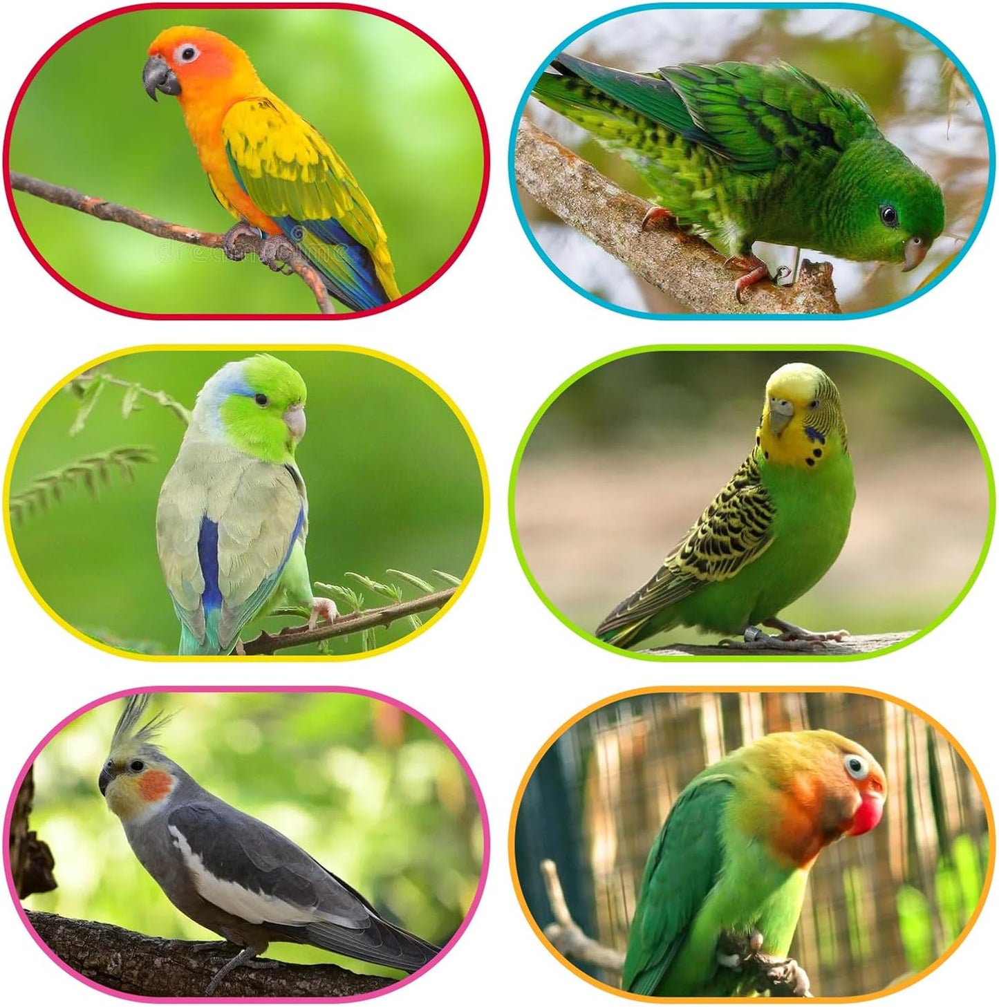 Parakeet Toys, Bird Toy Conure Grass Mat Budgie Shredder Hanging Set Cockatiel Foraging Toys Parrot Climbing WallToy Lovebird Cage Accessories for Small Birds (360 Spinning Toy)