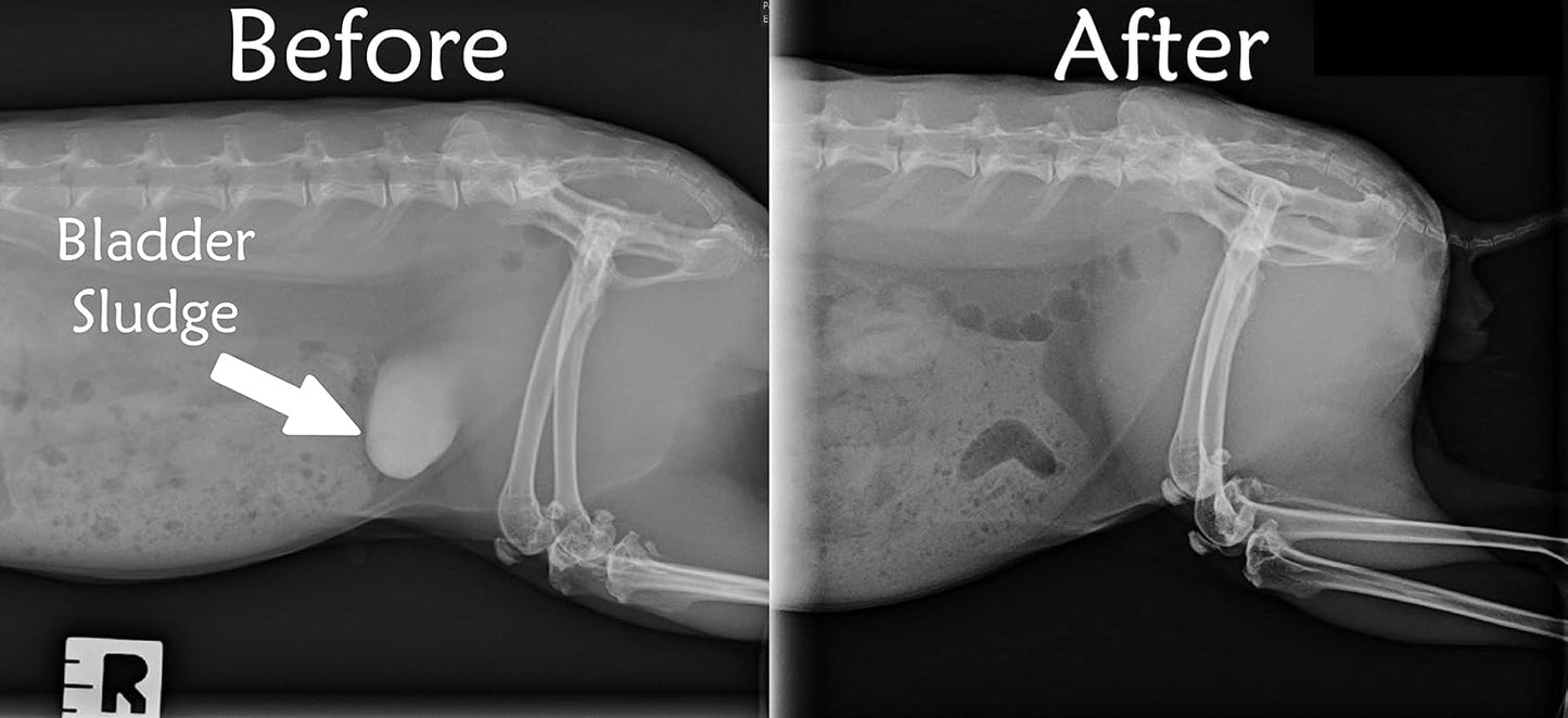 Sherwood Pet Health Adult Rabbit Food Timothy Hay MeasuredPellet 20 lbs. Hay-Based, Grain-Free, Soy-Free for Better Digestion