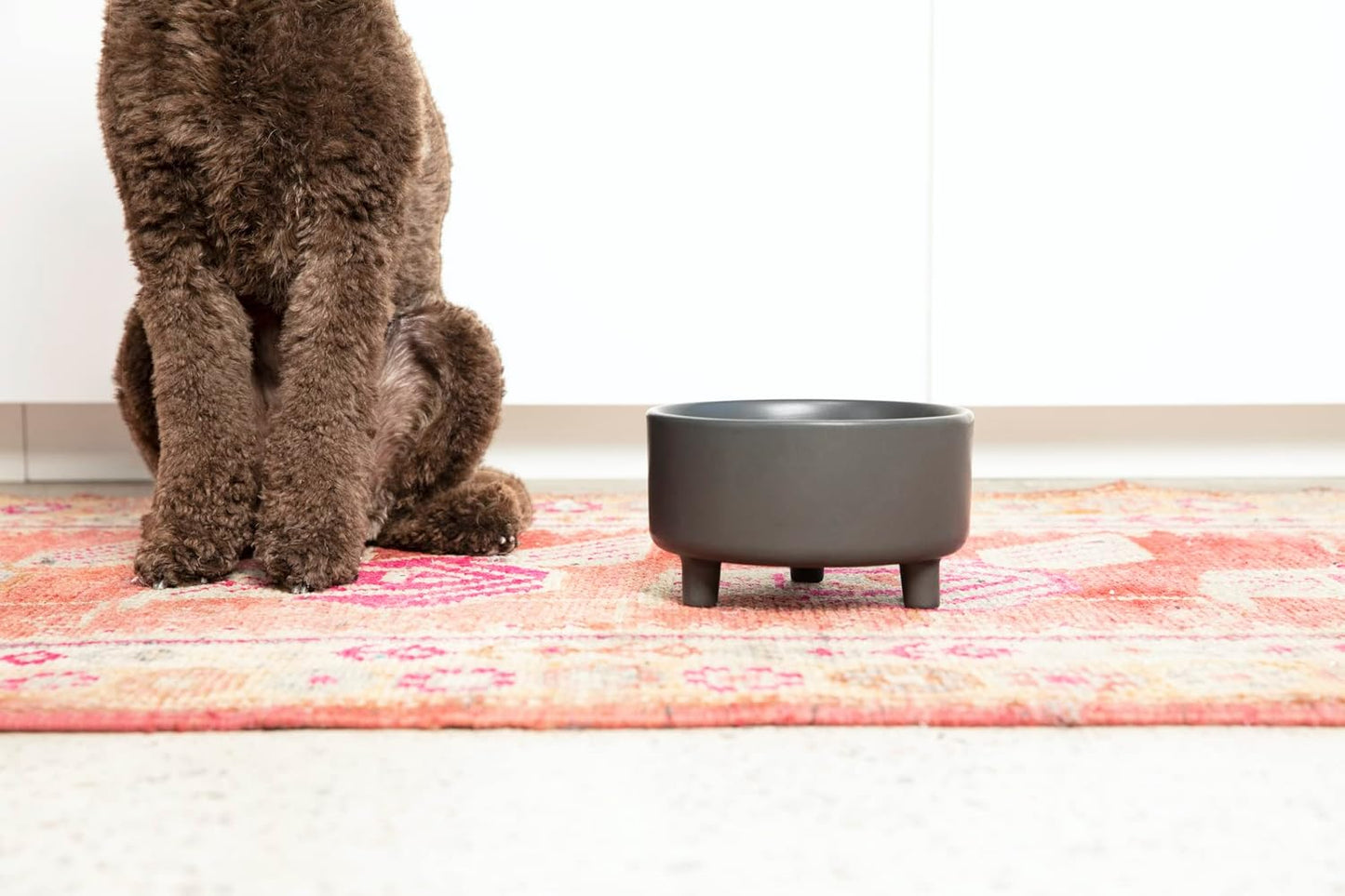 Waggo Uplift Ceramic Dog Bowl for Small Medium and Large Breeds - Heavyweight and Durable Pet Food and Water Dish Crock, Dishwasher Safe, Modern, Elevated Feeder (Small, Black)