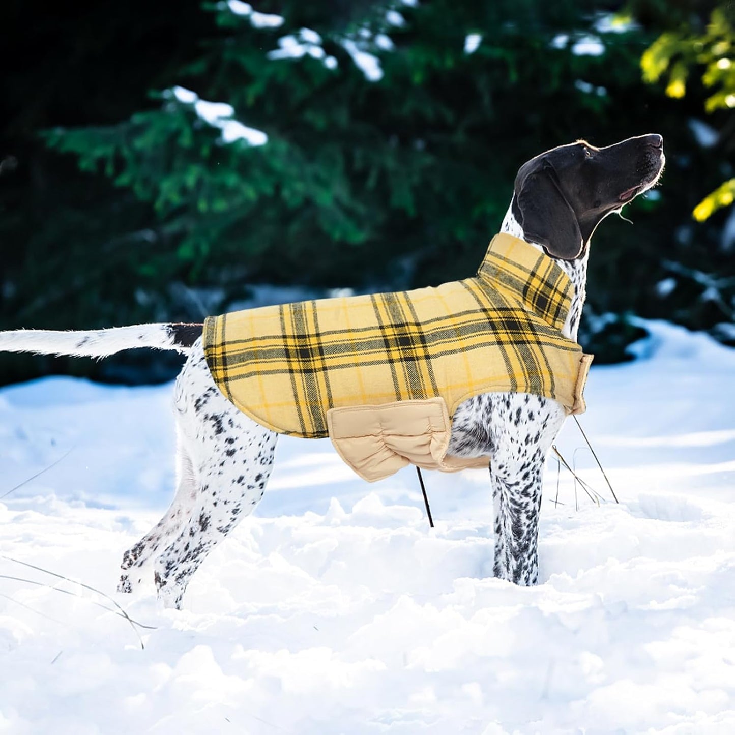 Kuoser Waterproof Dog Coat, Reversible Dog Jacket for Medium Dogs, Adjustable Durable Doggie Winter Coat Warm Puppy Cold Weather Apparel from Small to Large Breed, Yellow M