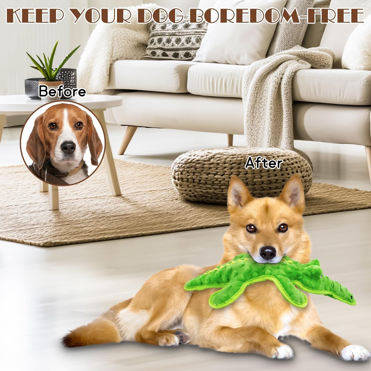 No Stuffing Dog Squeak Toys- Chew Toys for Small Medium Large Breed- Durable Puppy Teething Interactive to Keep Them Busy- Best Birthday Gift(Crocodile)