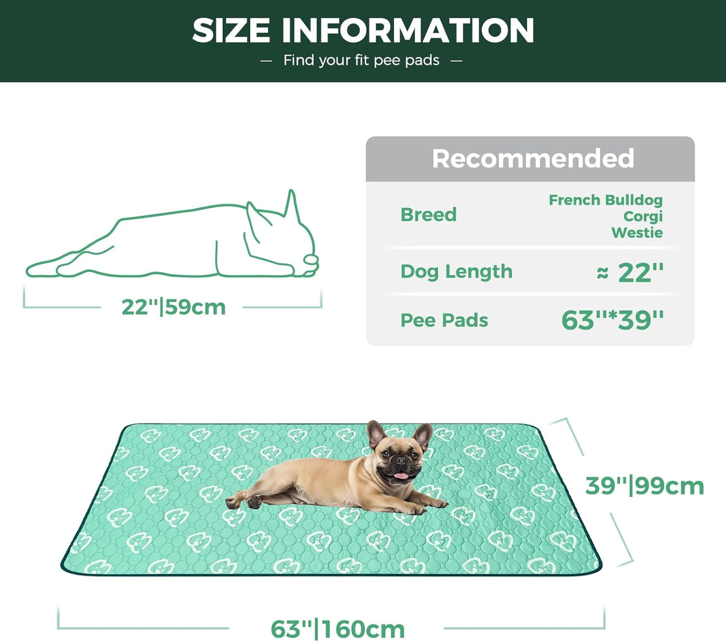 FXW Washable Pee Pads for Dogs, Puppy Pads with Super Absorbent, Specifically Designed for FXW Rollick/Homeplus 24inch 6 Panels Dog Playpen, 63" × 39" Rectangle, Green, 1 Pack