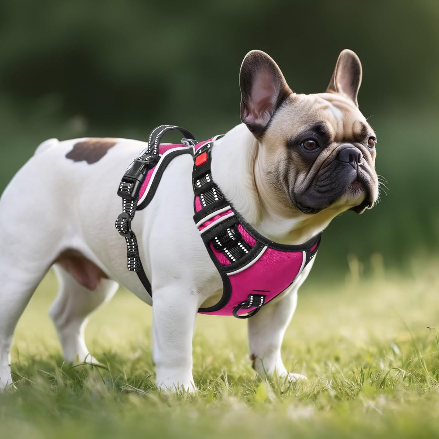 Timos No Pull Dog Harness, No Choke Front Lead Dog Reflective Harness, Adjustable Soft Padded Pet Vest with Easy Control Handle for Small Medium Large Dogs, XS