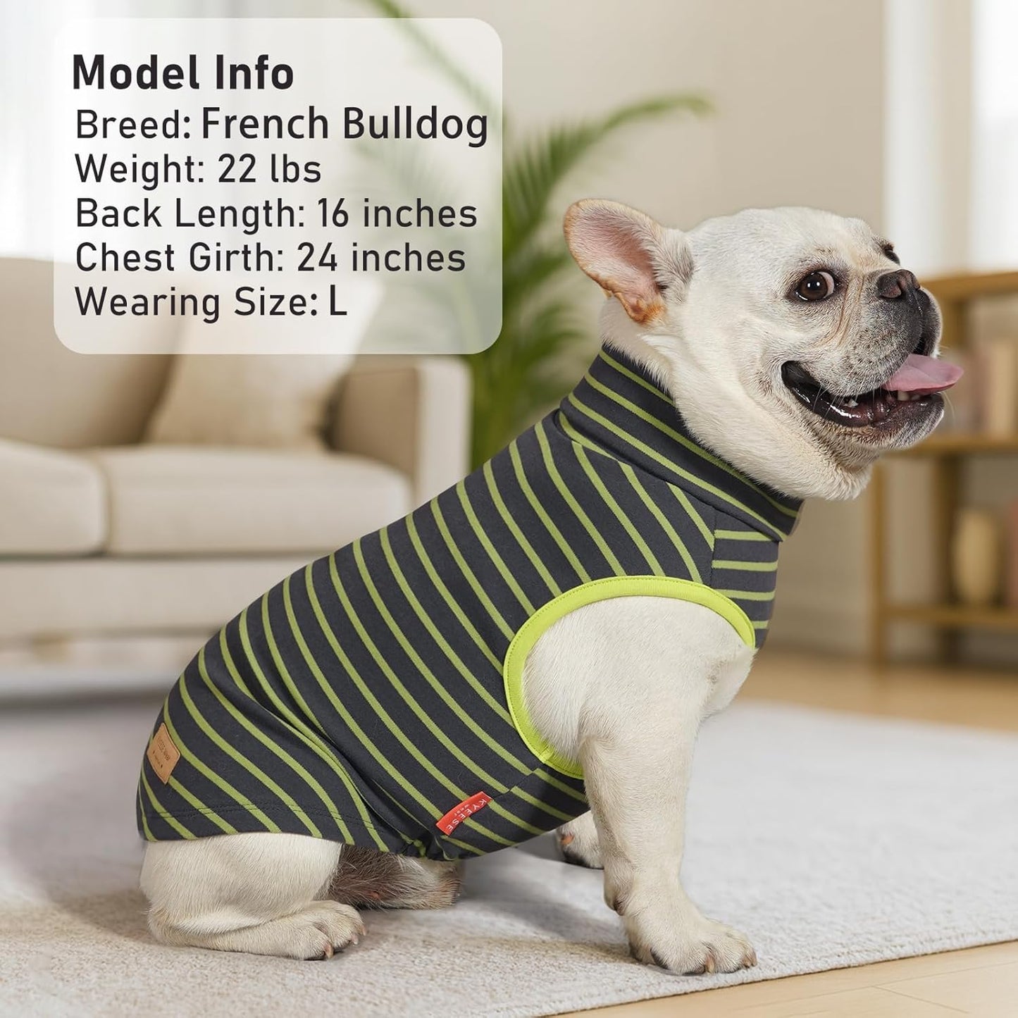 KYEESE 2Pack Dog Sweater Stretchy Dogs Clothes Soft Dachshund Clothes Warm Pet Coats Dog Sweaters for Small Dogs Male Turtleneck Small Pet Sweaters Pullover Pets Sweatshirt