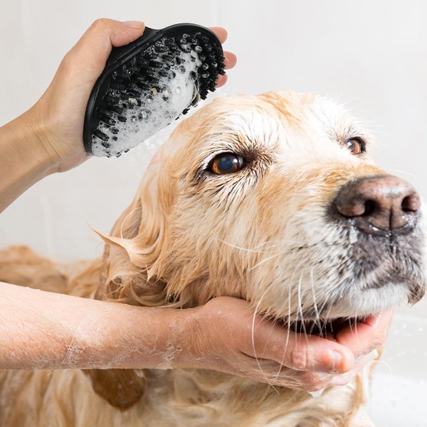 Dog Brush Kit for Grooming Short & Long Haired Dogs & Cats, 4-in-1 Pet Grooming Set with Self-Cleaning Slicker Brush, Deshedding Tool, Shampoo Bath Comb, Massge Comb (White Black)