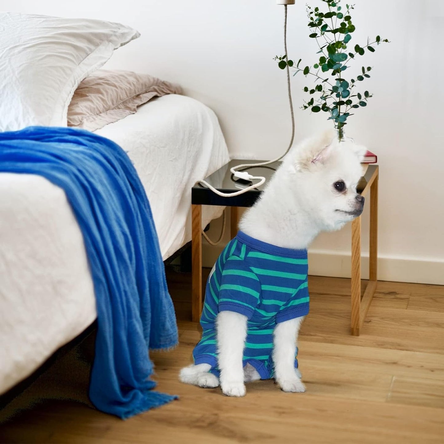 TONY HOBY Dog Pajamas for Medium Small Dogs, Dog Jumpsuit with Stripes 4 Legged Pajamas, Soft Dogs Pet Clothes (Blue&Green, Girl, XS)