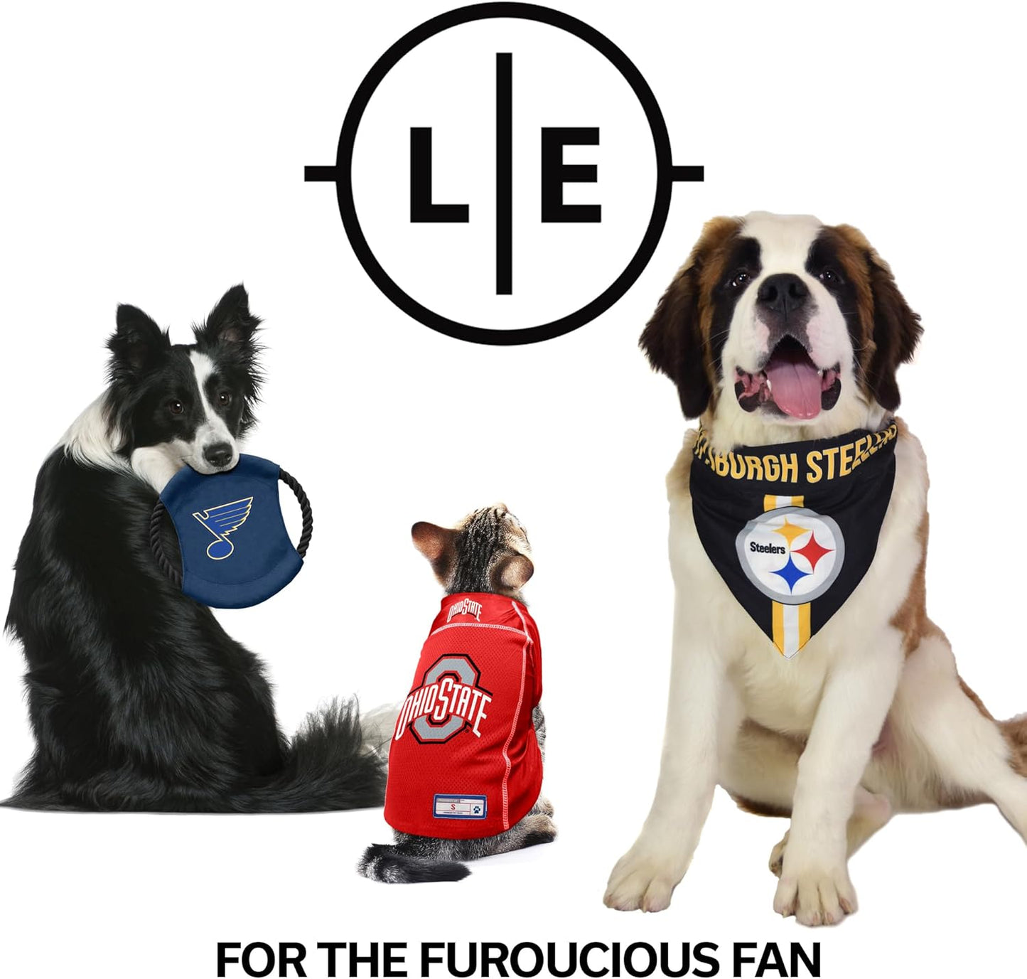 Littlearth NFL Pet Bandana - Reversible