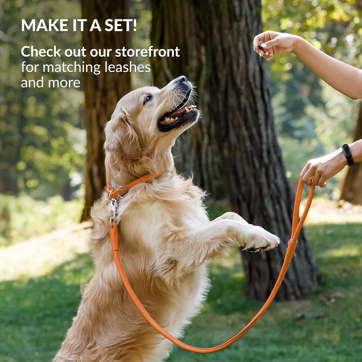 CollarDirect Rolled Leather Dog Collar, Soft Padded Round Puppy Collar, Handmade Genuine Leather Collar Dog Small Large Cat Collars 13 Colors (15-19 Inch, Orange Smooth)