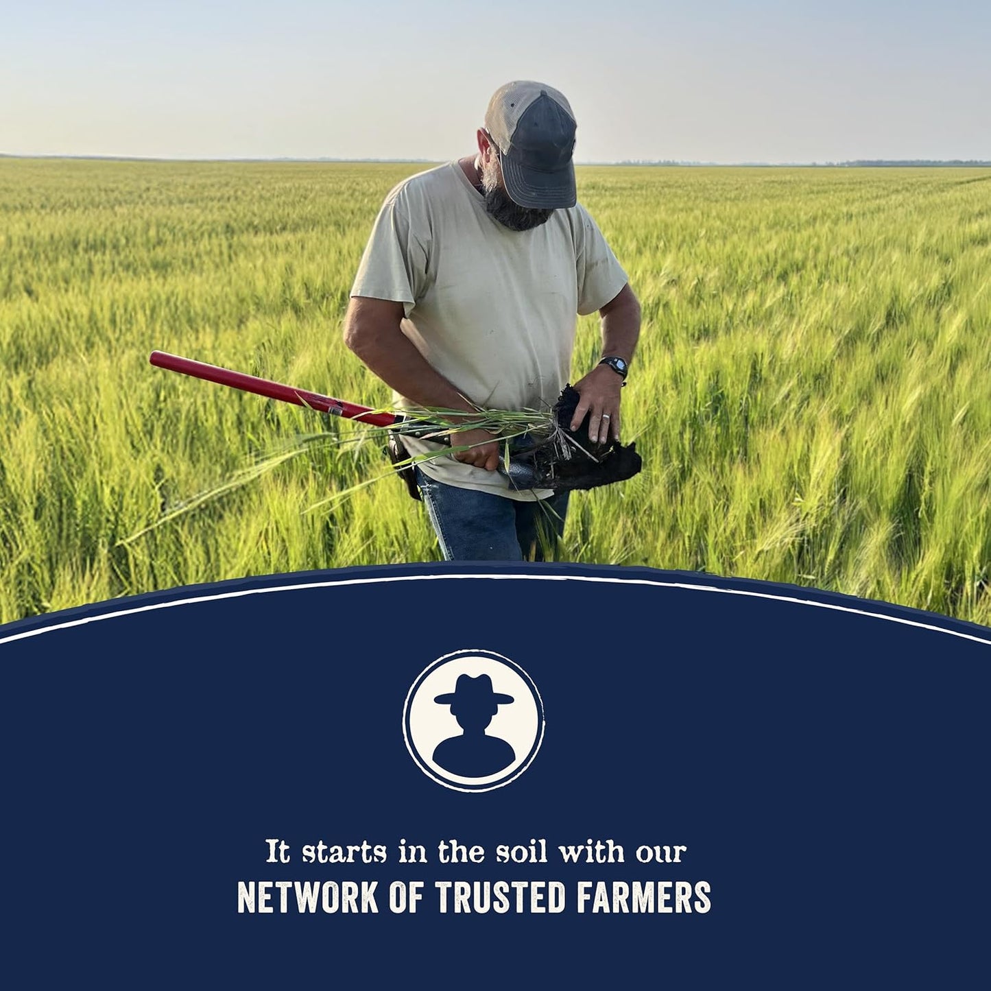 Canidae Pure Farm to Bowl Wild Boar & Garbanzo Bean, Grain-Free Dry Dog Food, Adult, 22lb