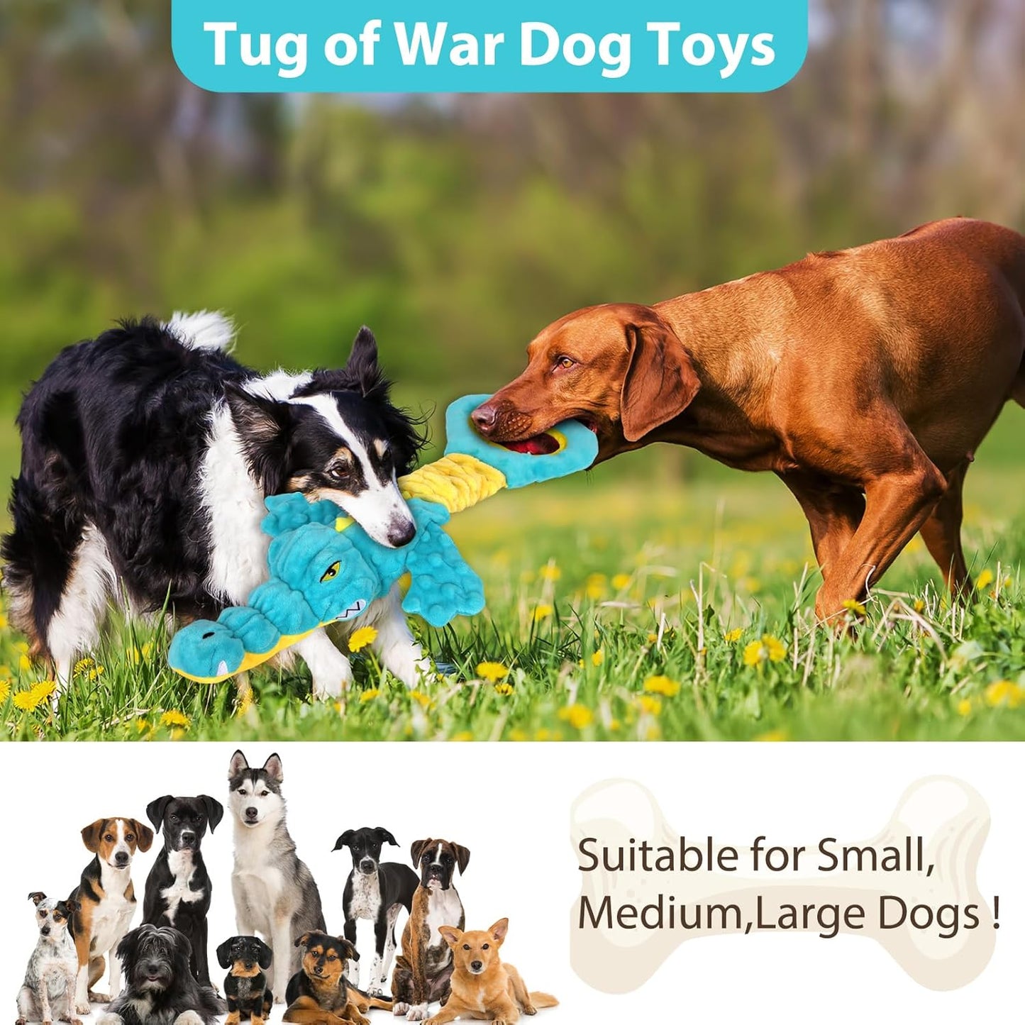 Dog Toys Cute Alligator Dog Toy Tough Plush Puppy Toy for Playtime, Training & Tug of War- Interactive Squeaky & Crinkle Chew Toy for Small to Large Dogs