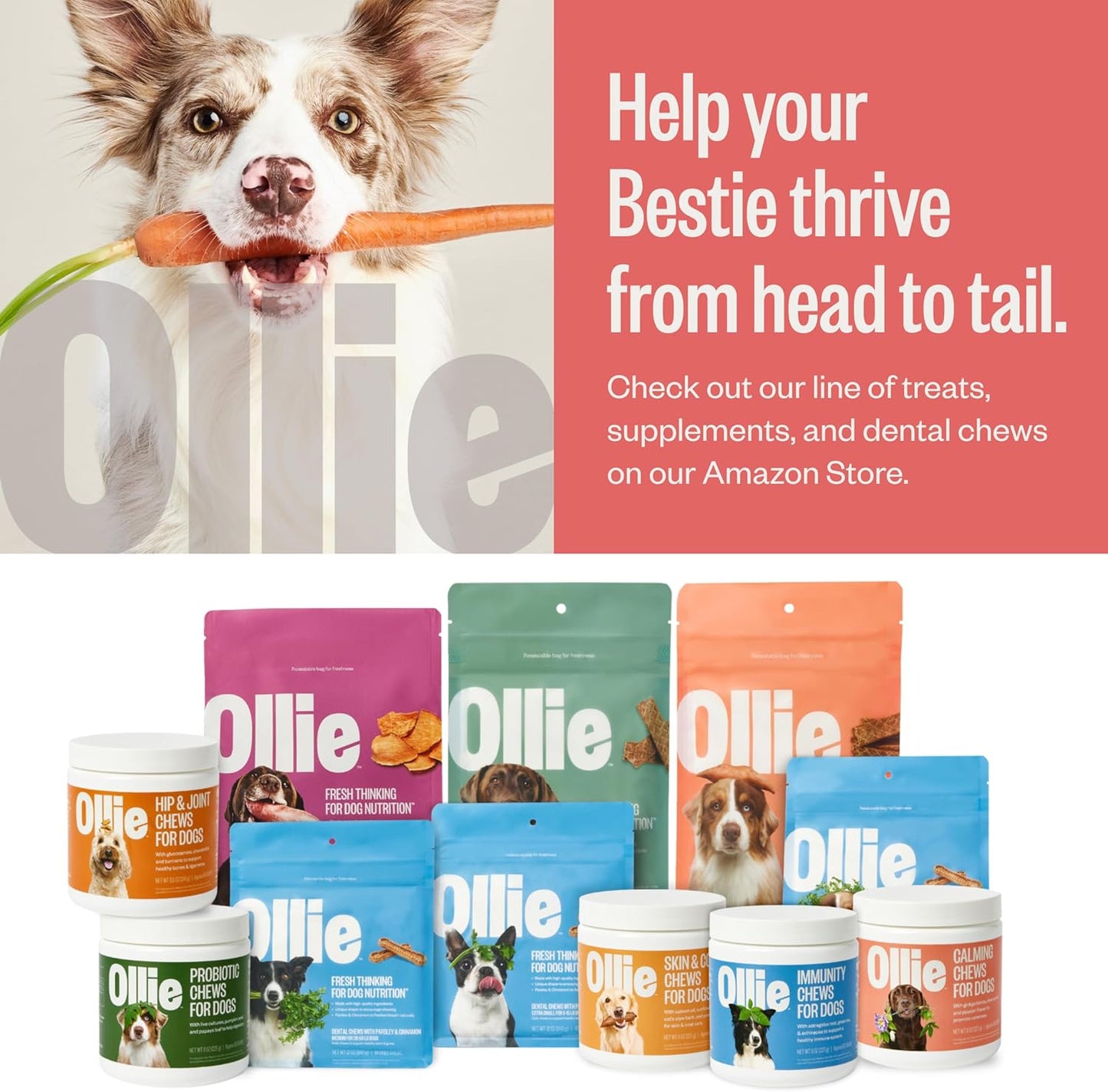 Ollie Chill Pills Calming Supplement Chews for Dogs, Anxiety Relief for Dogs, Melatonin for Stress Relief, 60 Count Appx.