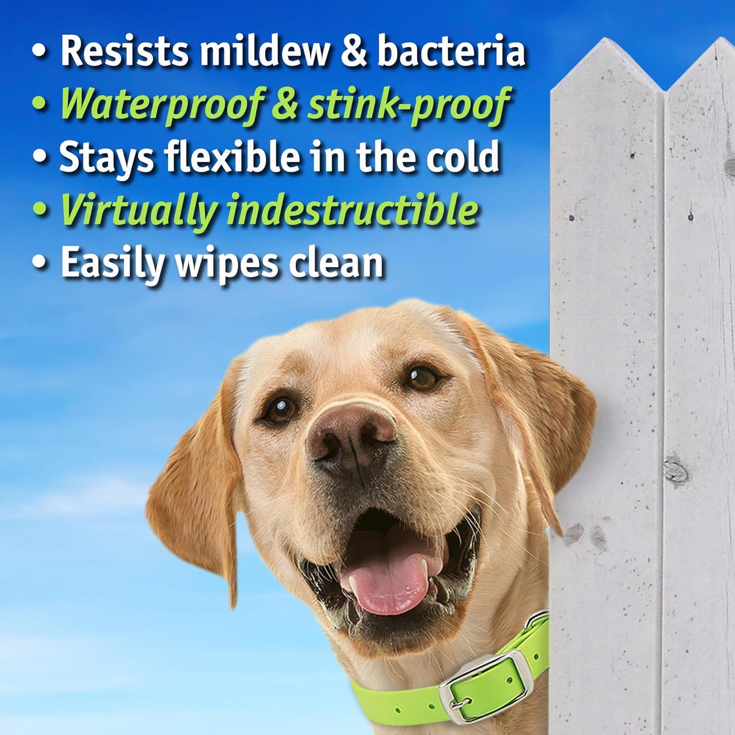 Biothane Custom Dog Collar – Waterproof, Stink-Proof Personalized Collar with Name & Phone Number – Durable, Many Sizes and Colors – Assembled in USA – Assembled in USA (Teal)