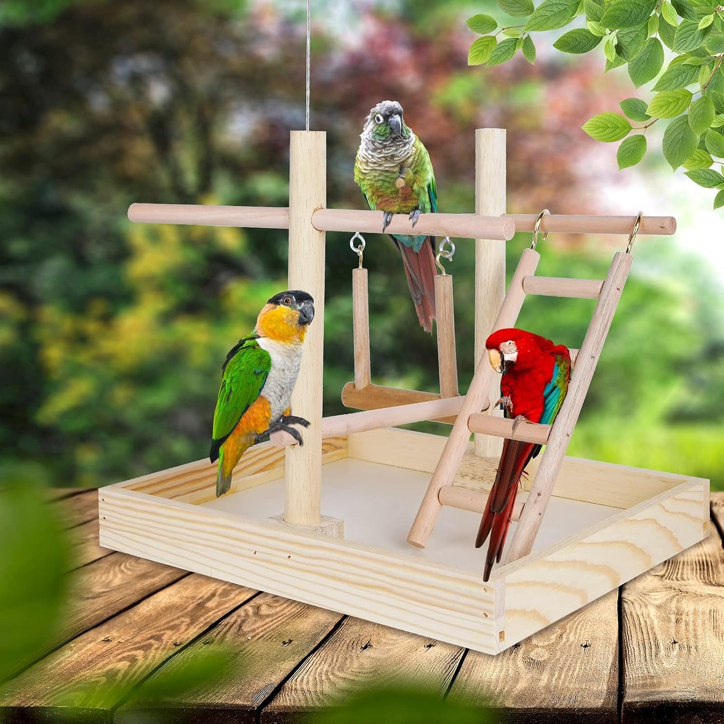 Budgie Perch Nature Wood Stand, Parrot Climbing Ladder Swing Chew Toy, Small Tabletop Bird Cage Play Gyms Playground for Parrots, Macaws, Love Birds, Finches, African Grey, Budgies
