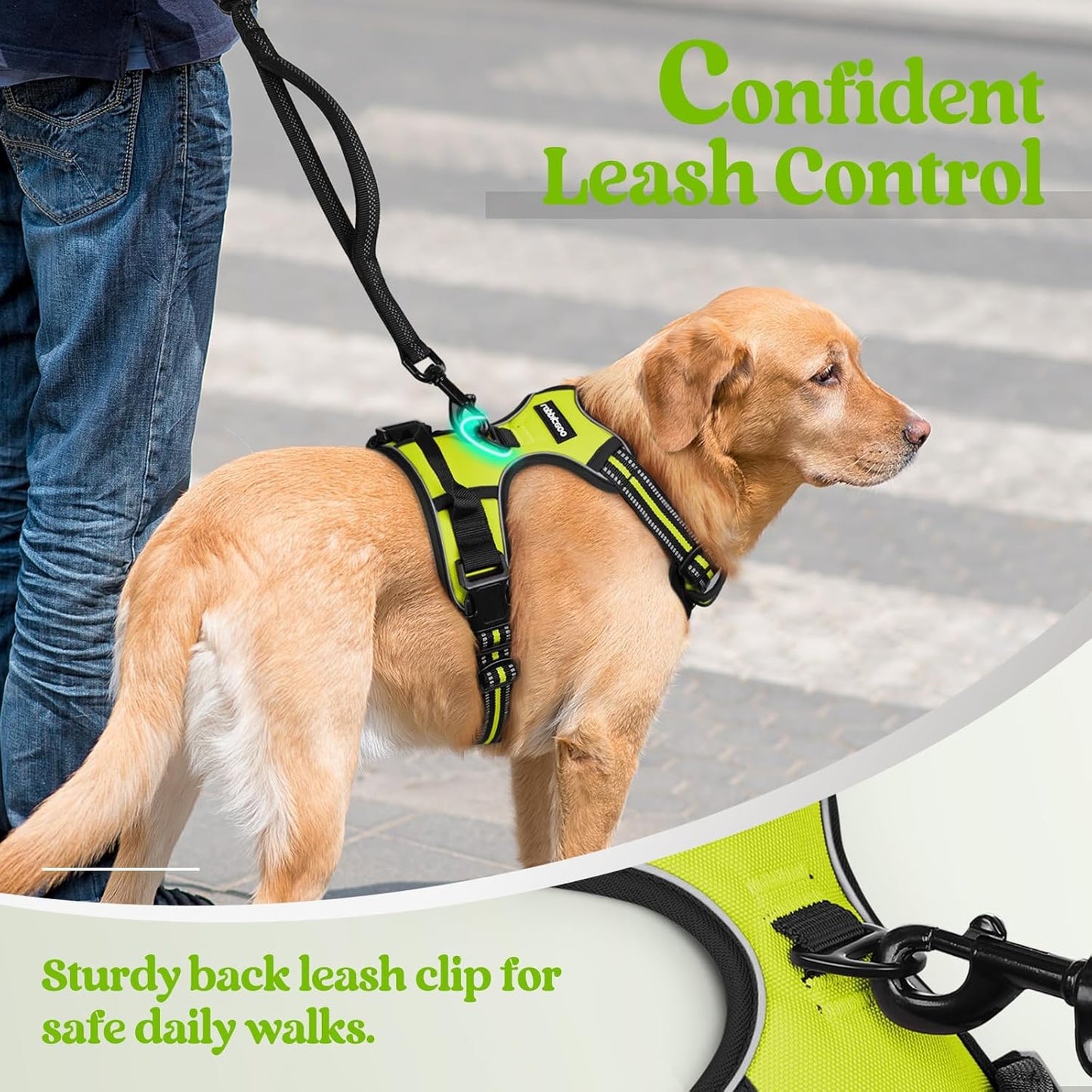 rabbitgoo Dog Harness No Pull with 2 Leash Clips, Adjustable Soft Padded, Reflective Oxford No Choke Pet Vest with Easy Control Handle for Large Dogs, Green, L