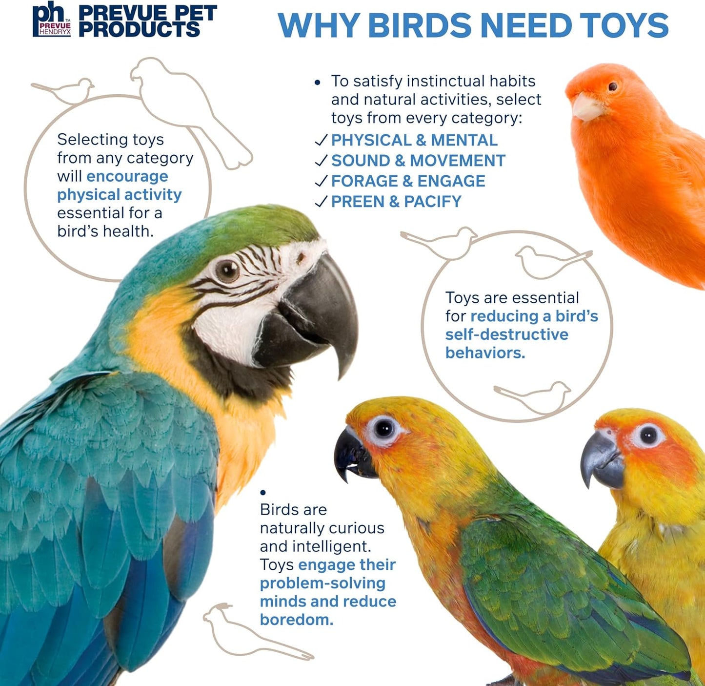 Prevue Pet Products 62606 Calypso Creations Club Bird Toy, Multicolor