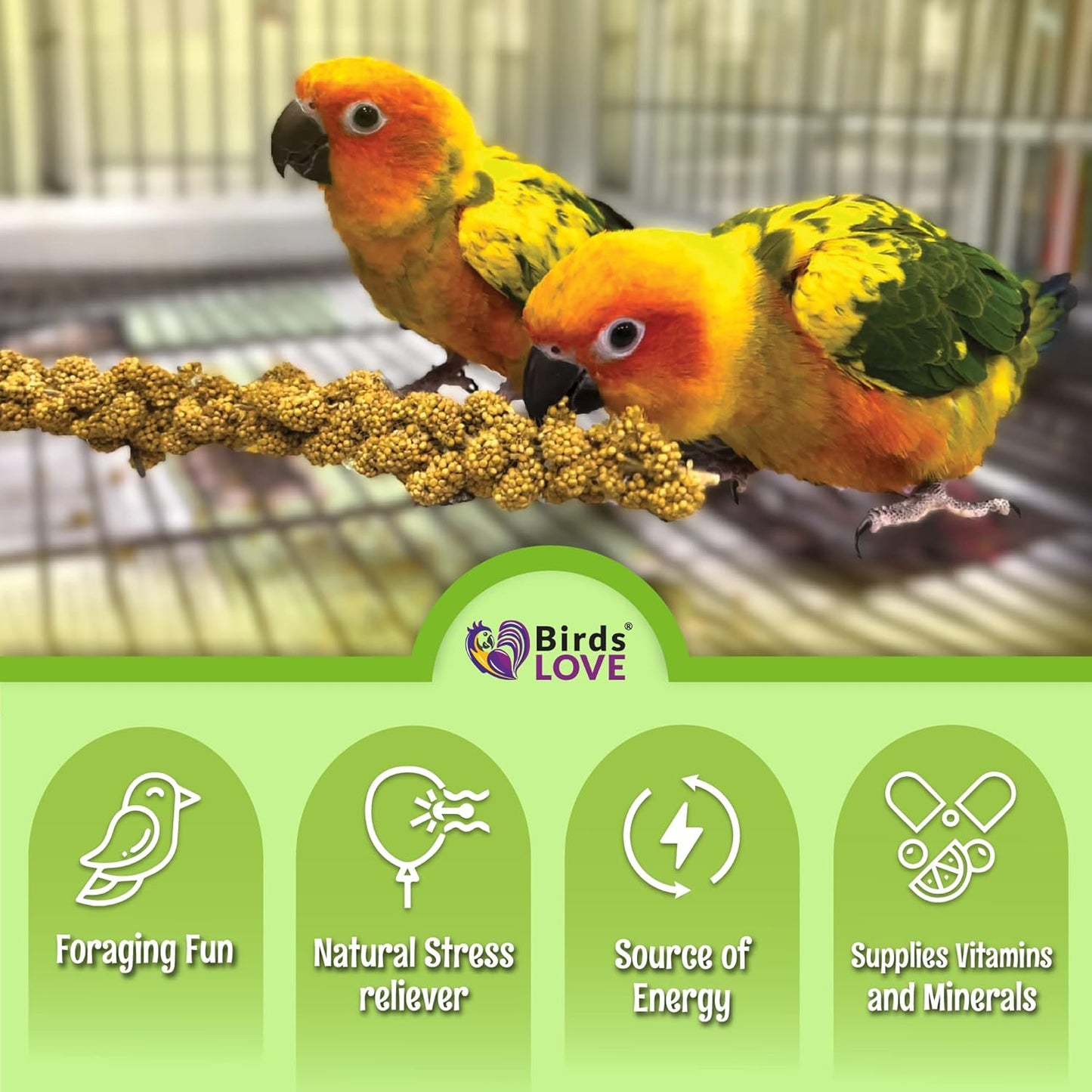 Birds LOVE French Kissed Spray Millet for Birds - Parakeets, Cockatiels, Lovebirds, Finches, Budgies, Canaries, Cockatoos - Natural & Healthy Bird Millet - Parakeet Food & Treats for all Parrots 25lbs