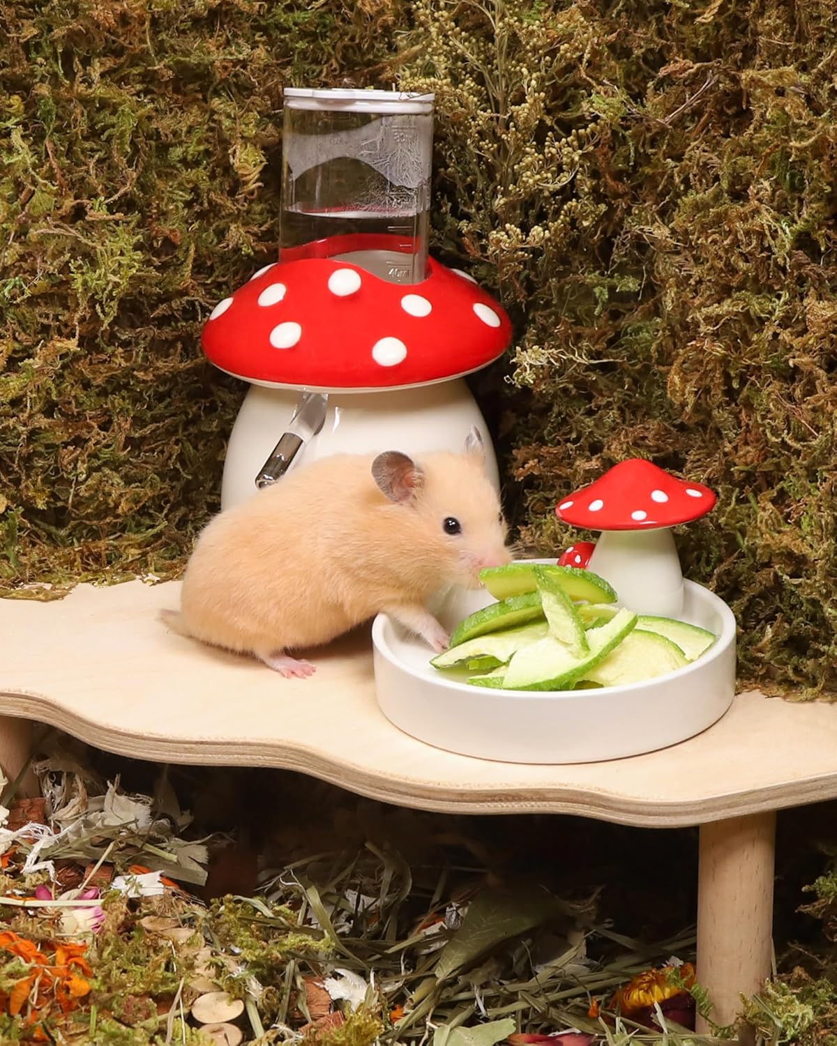 Niteangel Hamster Snack & Treats Toy - Small Animal Natural Treat for Dwarf Syrian Robo Hamsters Gerbils Mice Lemmings Degus or Other Small-Sized Pets