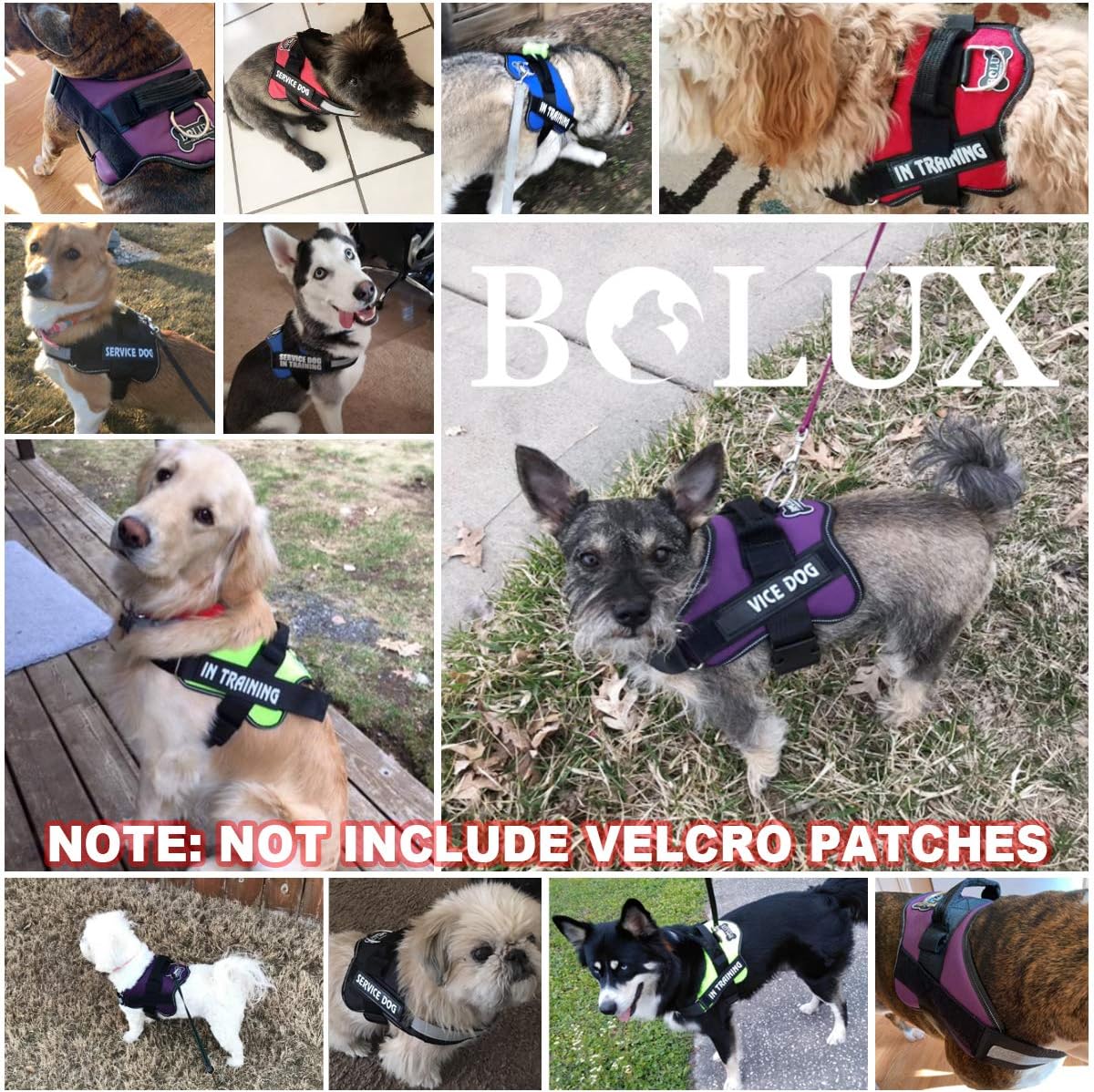 Bolux Dog Harness, No-Pull Reflective Dog Vest, Breathable Adjustable Pet Harness with Handle for Outdoor Walking - No More Pulling, Tugging or Choking (Green, XL)