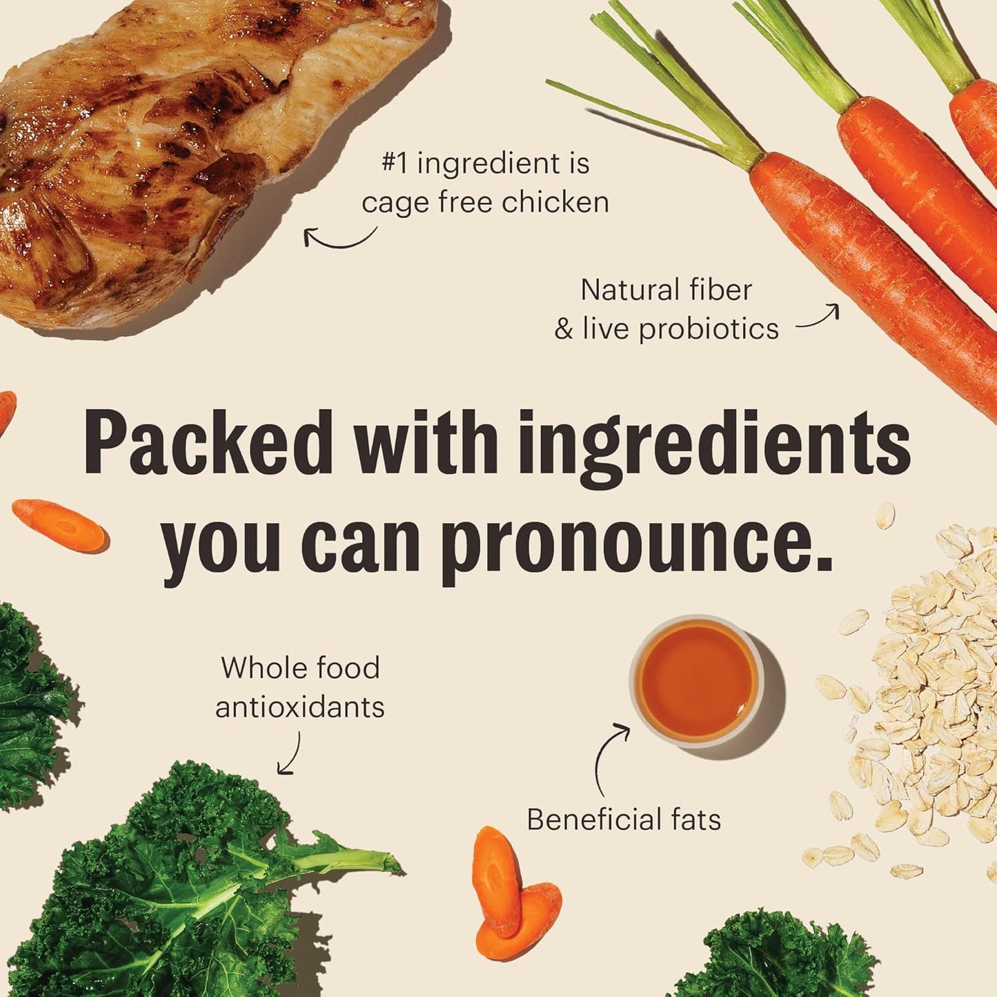 The Honest Kitchen Whole Food Clusters Whole Grain Chicken & Oat Dry Dog Food, 20 lb Bag