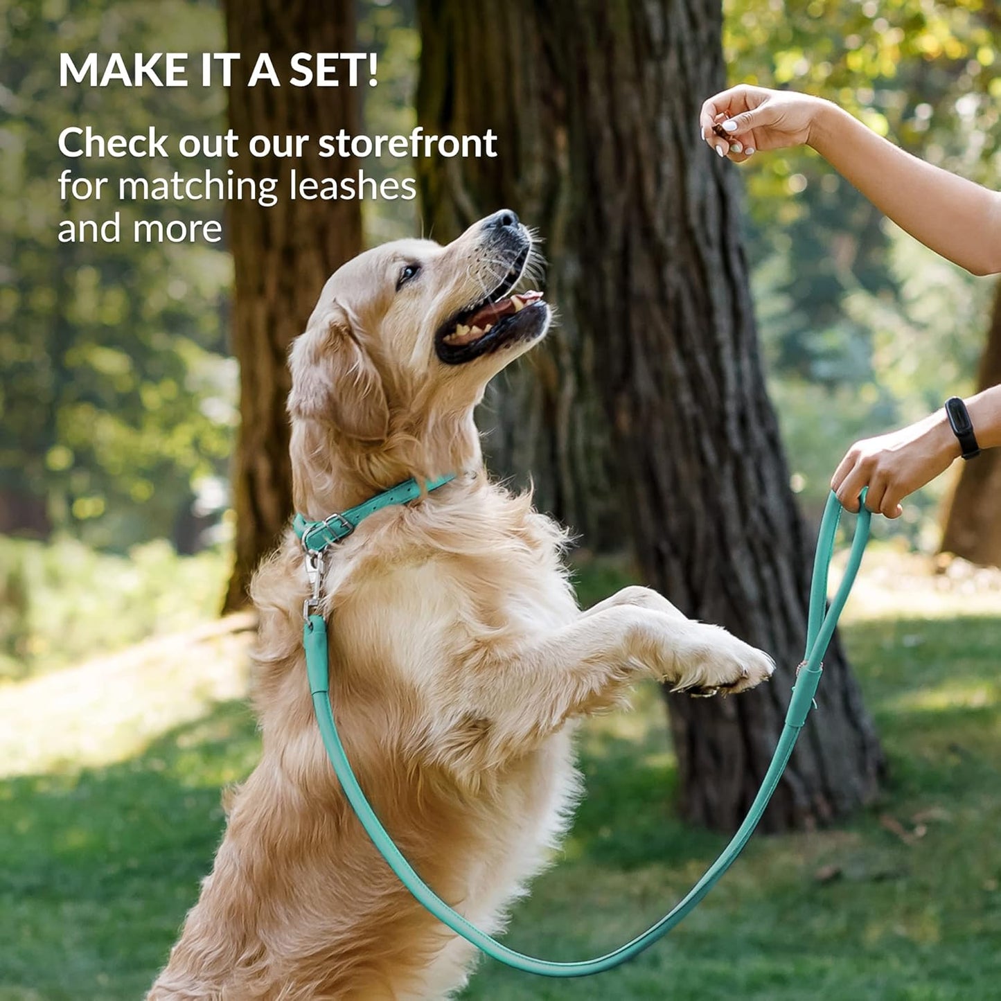 CollarDirect Rolled Leather Dog Collar, Soft Padded Round Puppy Collar, Handmade Genuine Leather Collar Dog Small Large Cat Collars 13 Colors (11-14 Inch, Mint Green Smooth)