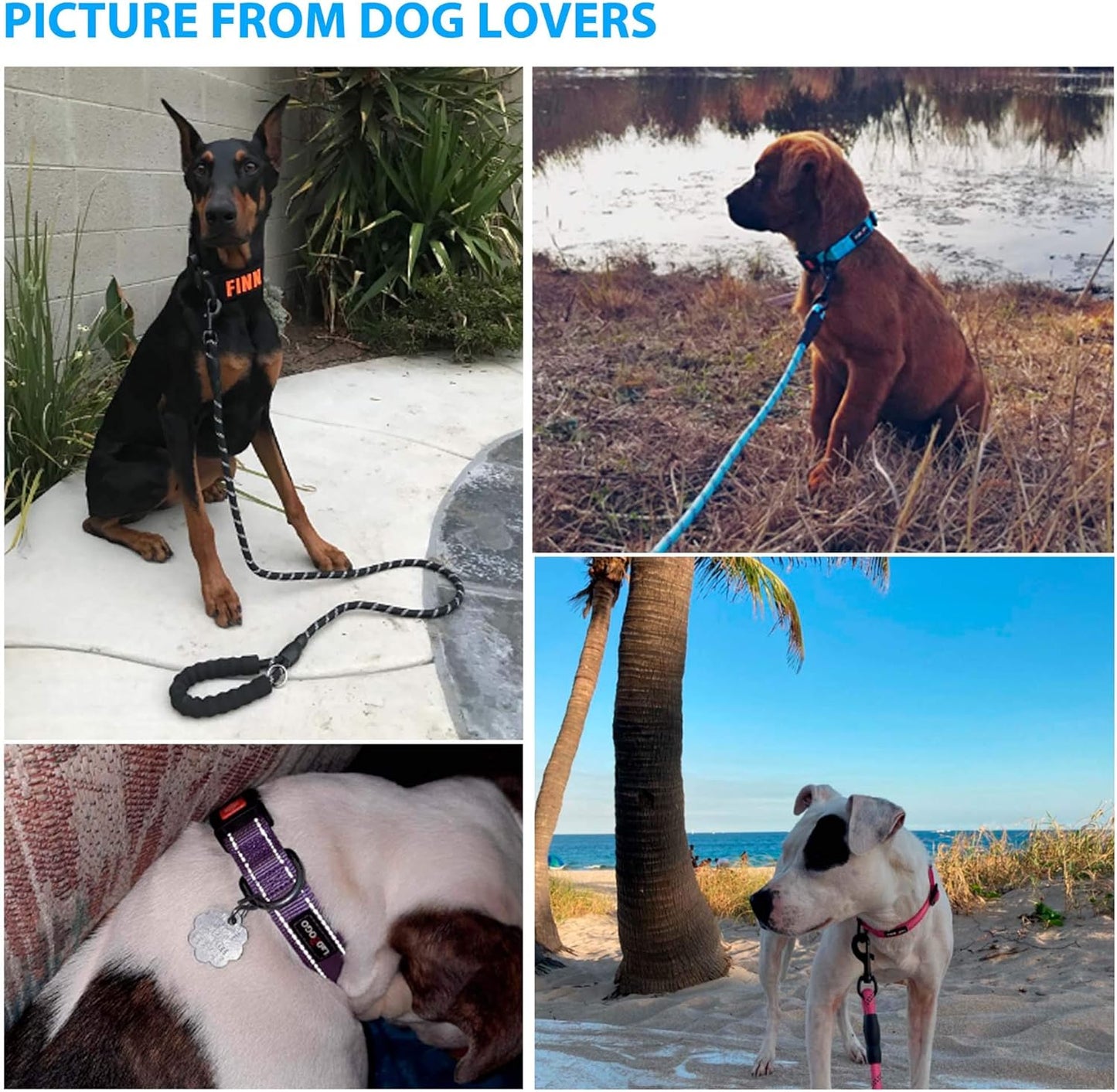 Heavy Duty Dog Leash - Comfortable Padded Handle, 5 ft Long - Dog Leashes for Small Medium Large Dogs (Leash+Collar XS Neck 10.5"-13.5", Black)