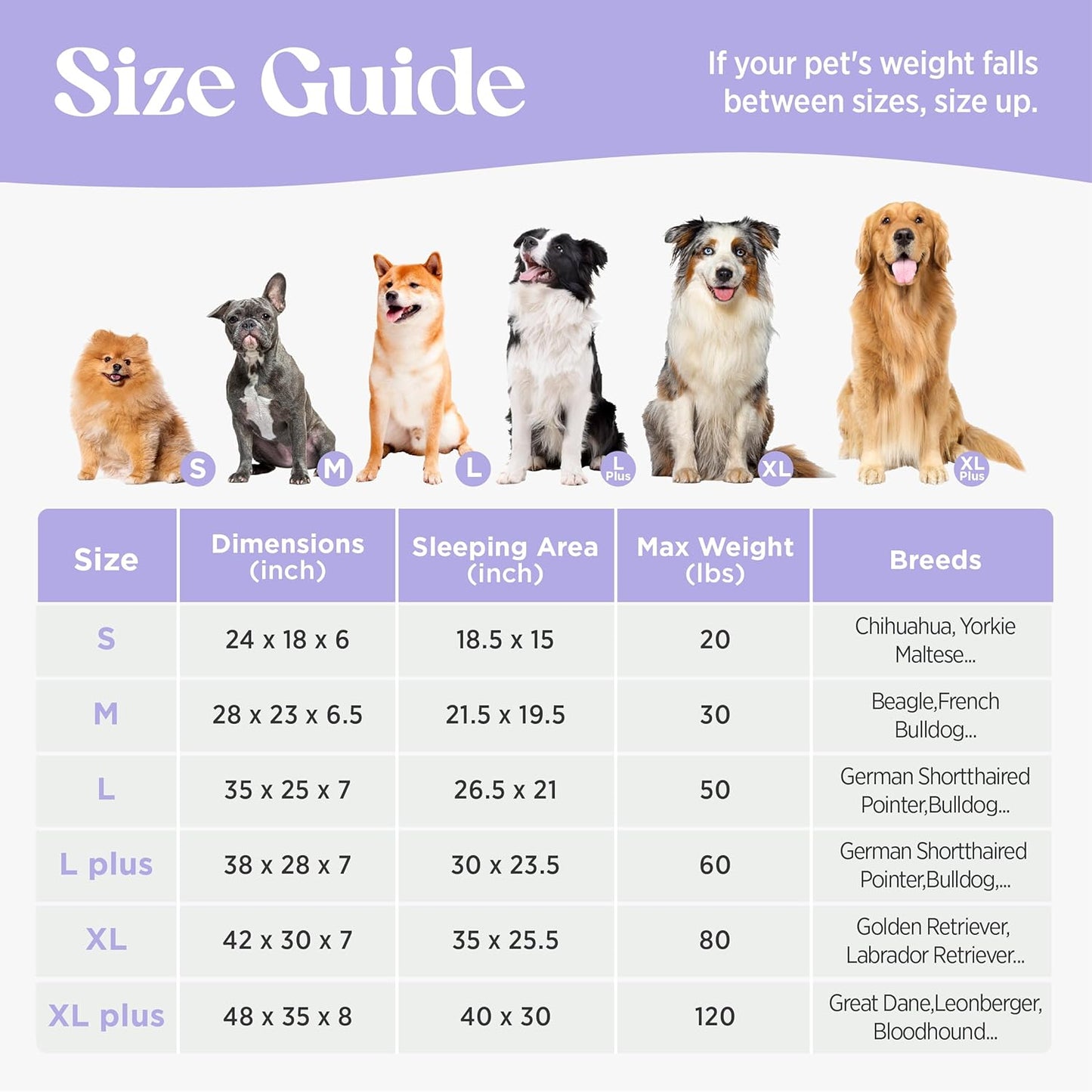 LE SURE Cute Dog Bed Medium Size Dog, Orthopedic Waterproof Medium Pet Beds with Sides, Non-Slip Bottom and Egg-Crate Foam Pet Couch Sofa with Washable Removable Cover, Beige