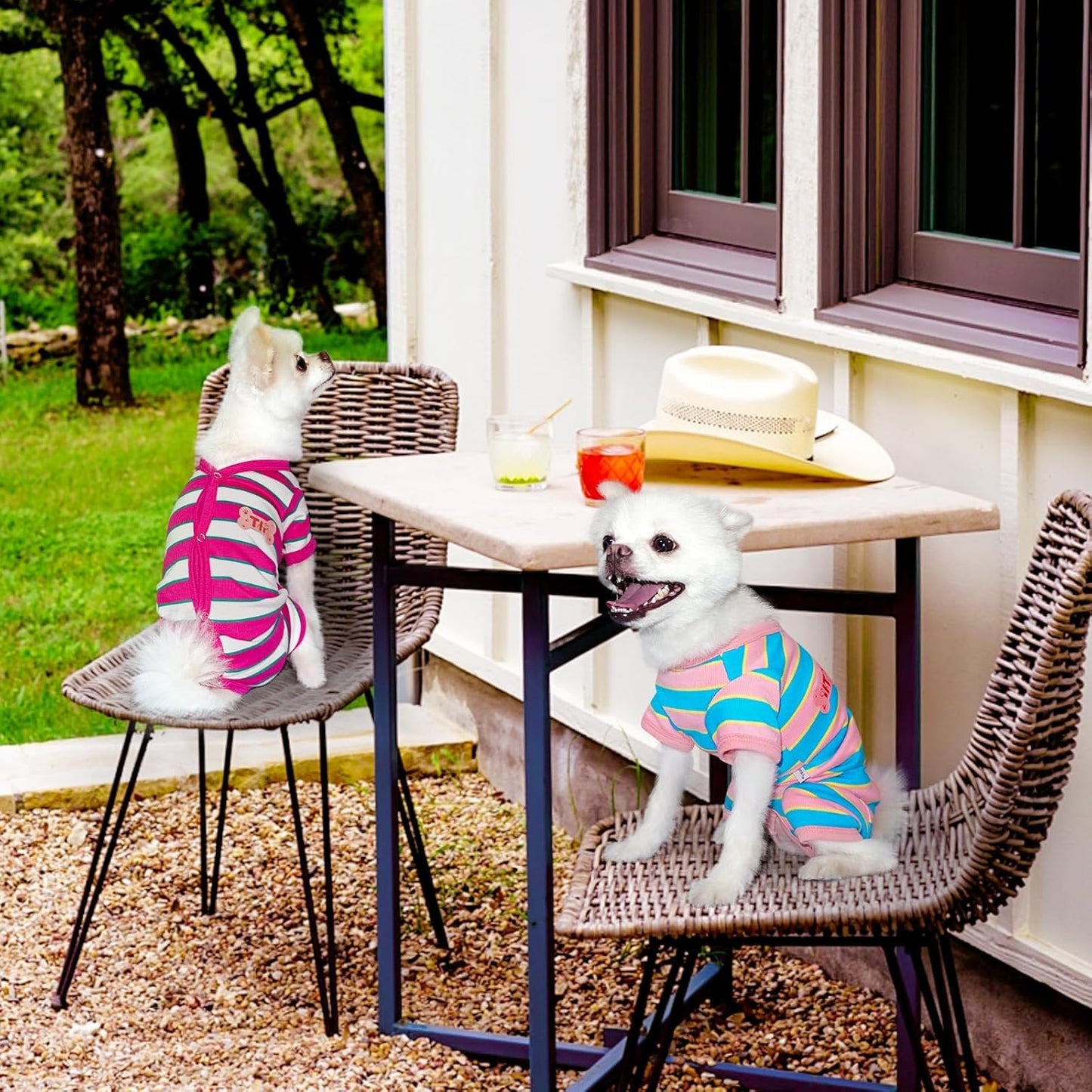 TONY HOBY Male Dog Pajamas, Dog Jumpsuit with Rose Red Stripe, Colorful Dogs Shirt for Small Medium Dogs (Rose Red&White, Boy, XL)