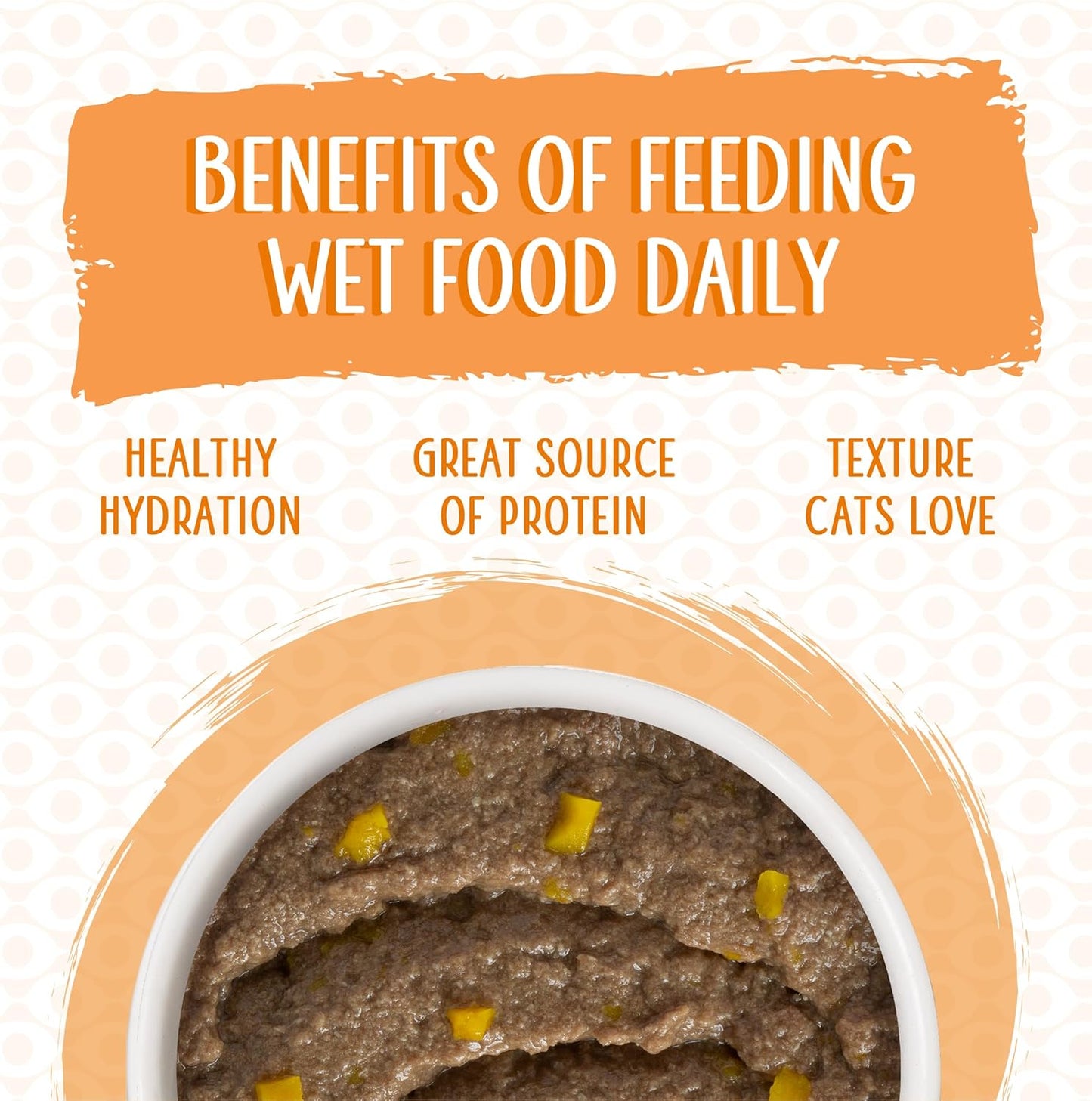 Weruva Wet Cat Food, Who Wants to be a Meowionaire with Chicken and Pumpkin Pate, 3oz Can, Pack of 12