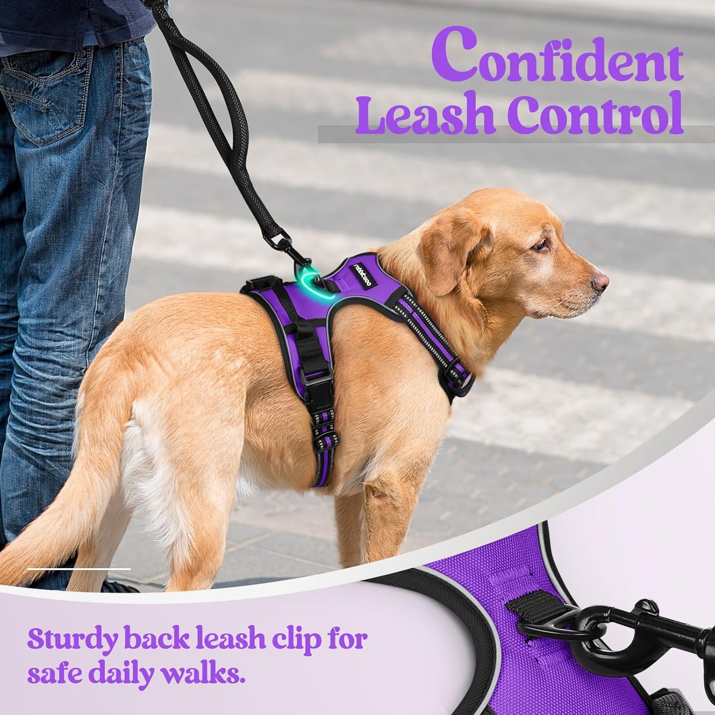 rabbitgoo Dog Harness No Pull with 2 Leash Clips, Adjustable Soft Padded, Reflective Oxford No Choke Pet Vest with Easy Control Handle for Medium Sized Dogs, Purple, M